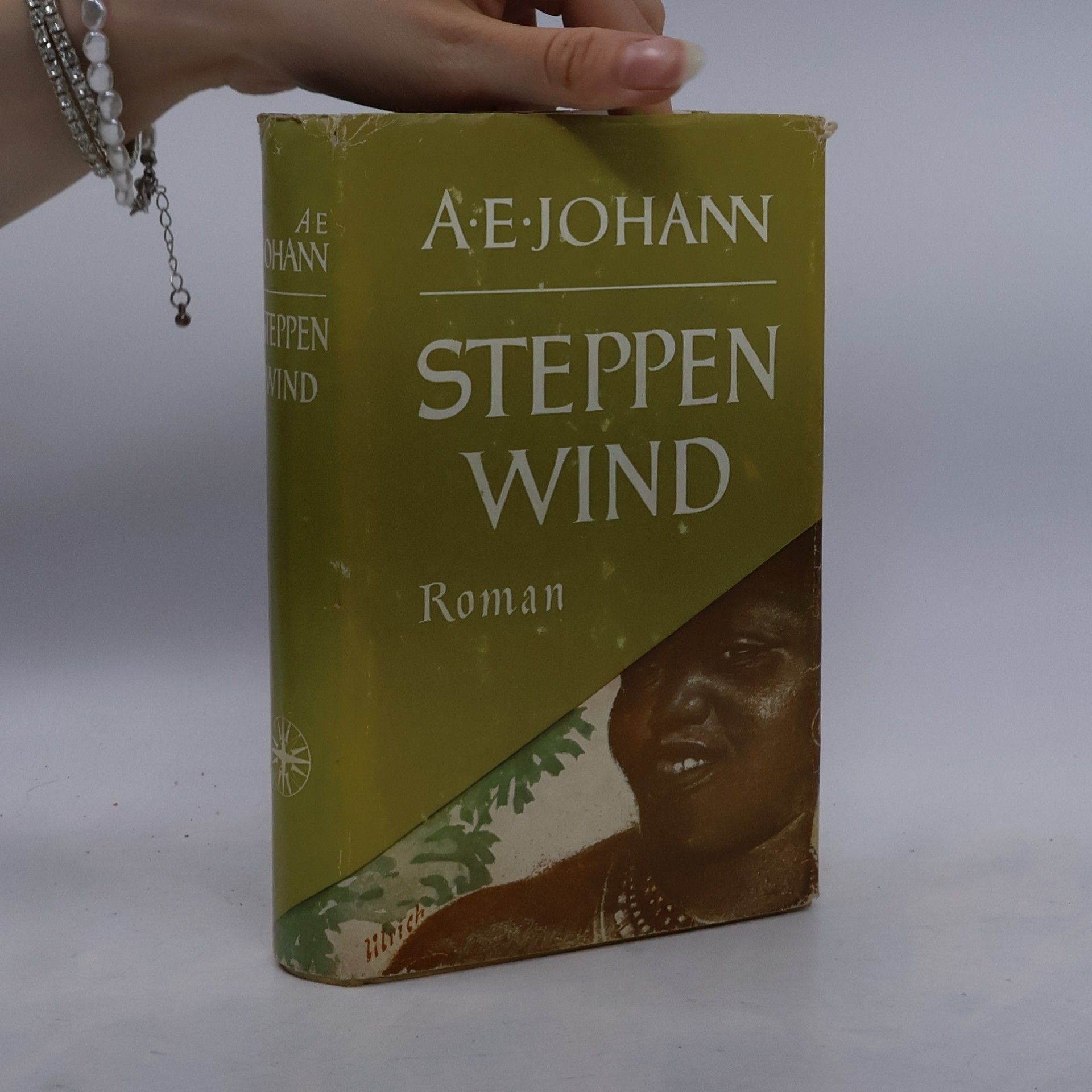 Steppen Wind