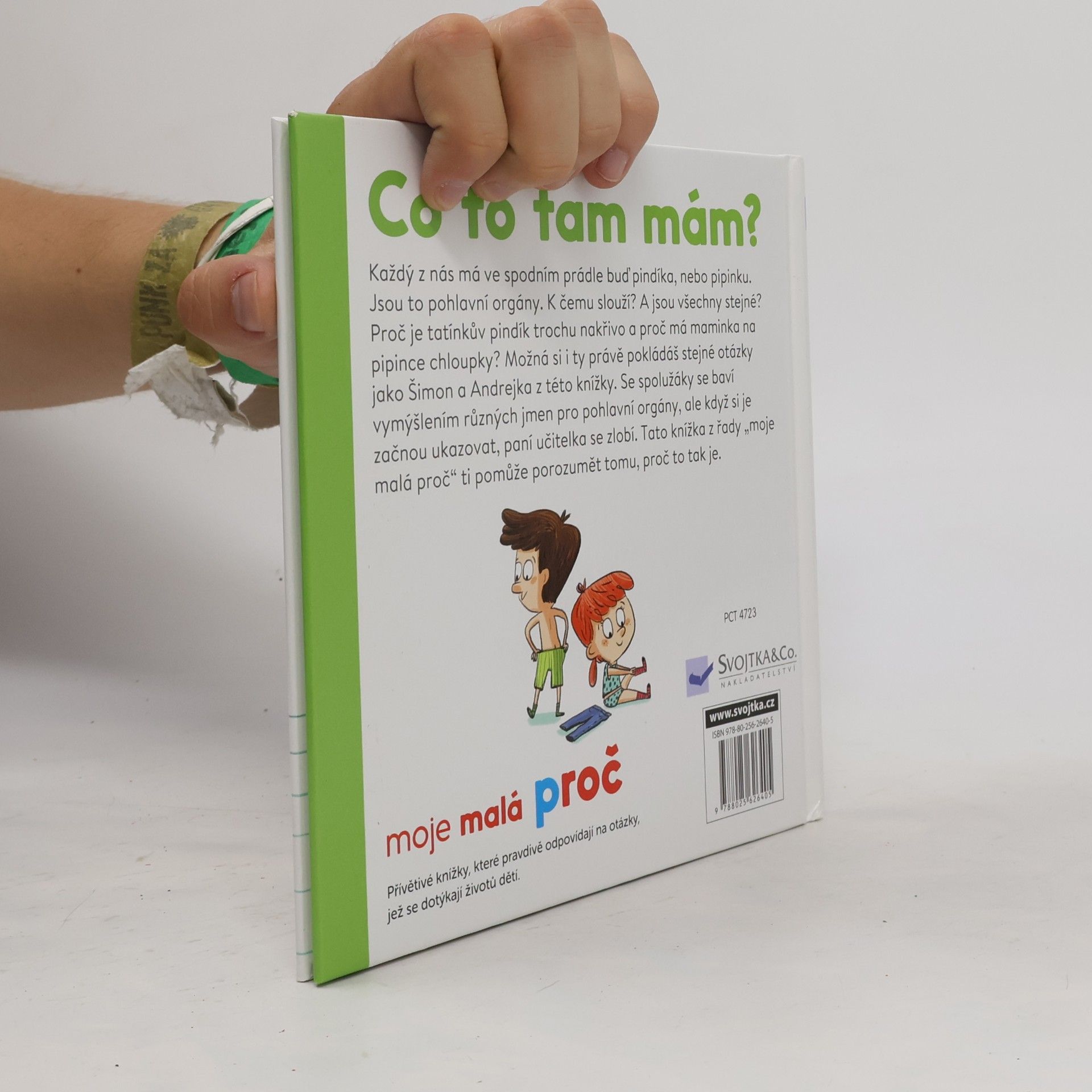 Camille Laurans Co to tam mám?