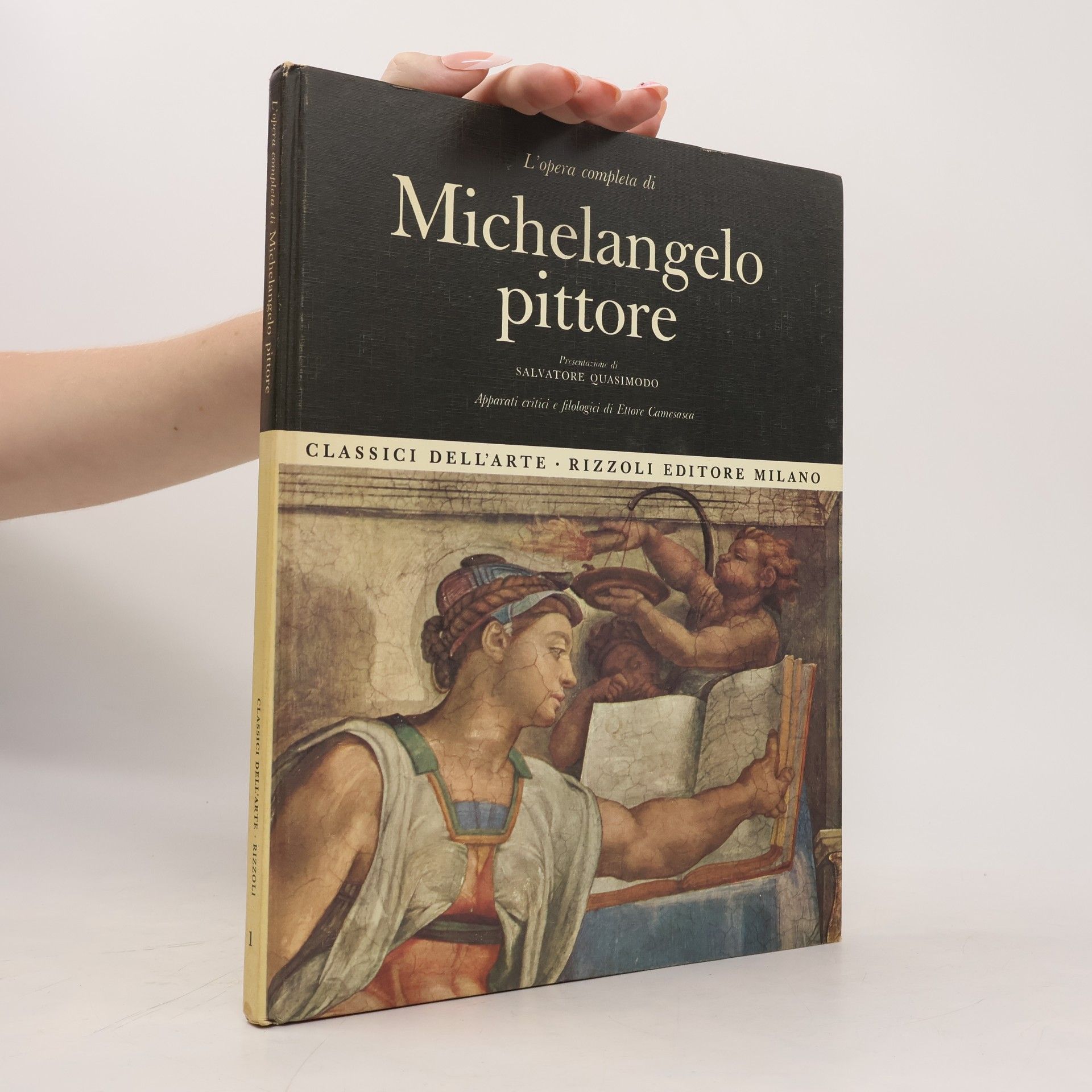 AA.VV. L'opera completa di Michelangelo pittore