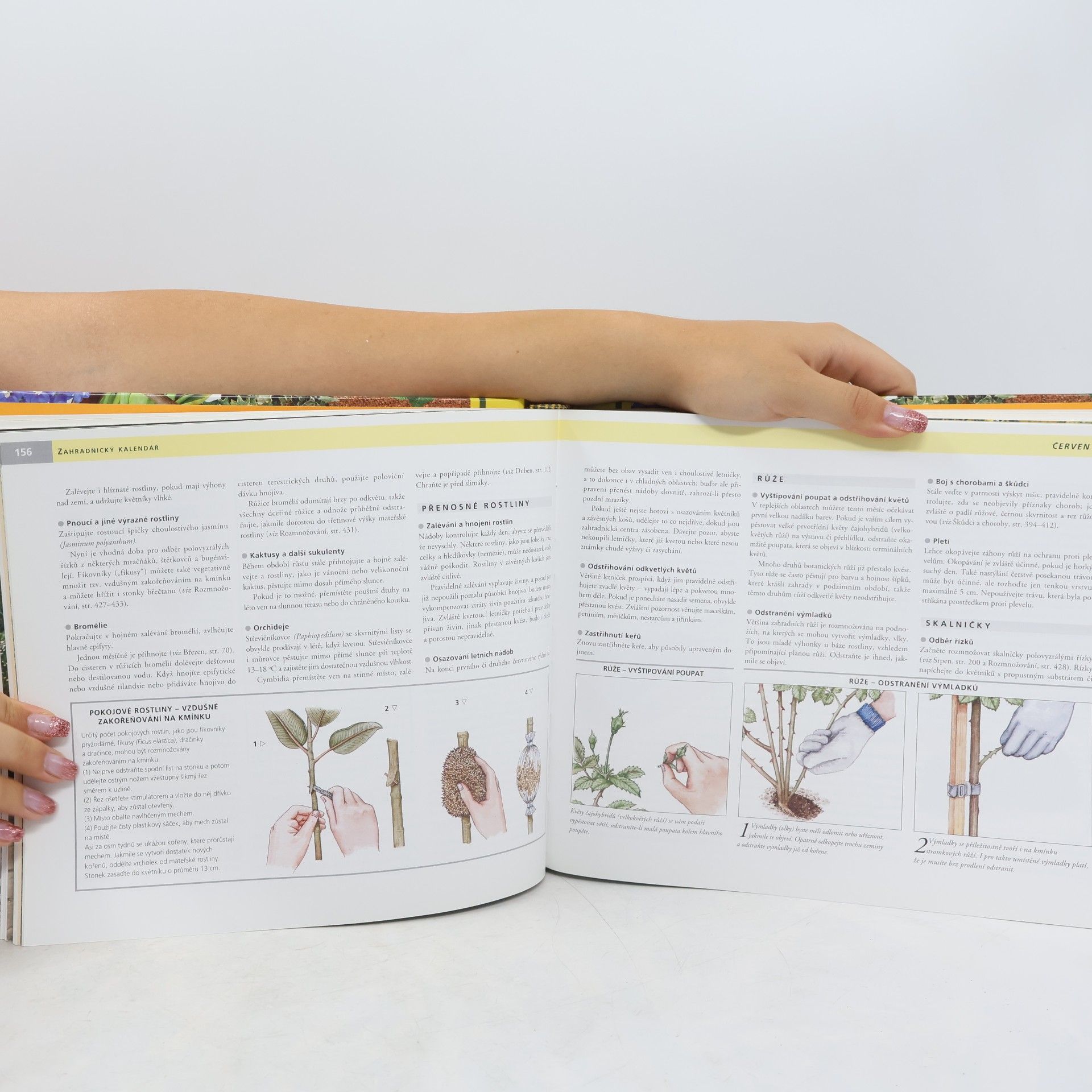 Various authors Rok v zahradě. Jak se těšit ze zahrady od jara do zimy