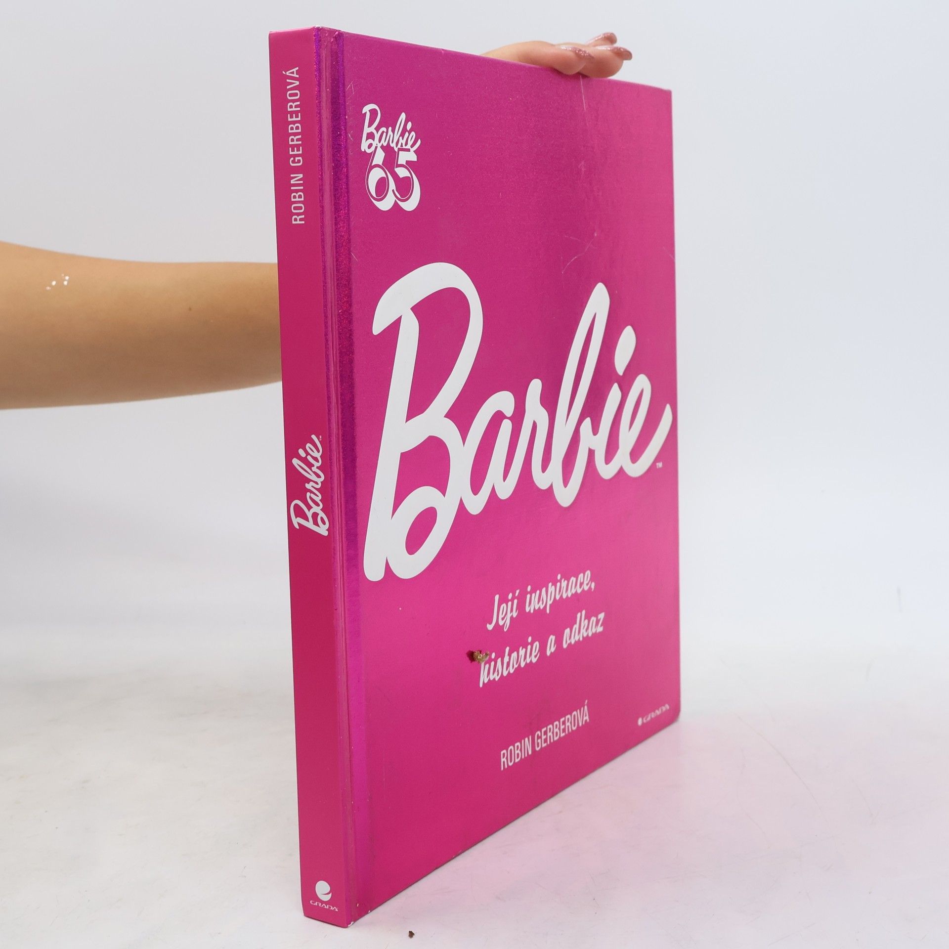 Robin Gerber Barbie: Její inspirace, historie, odkaz