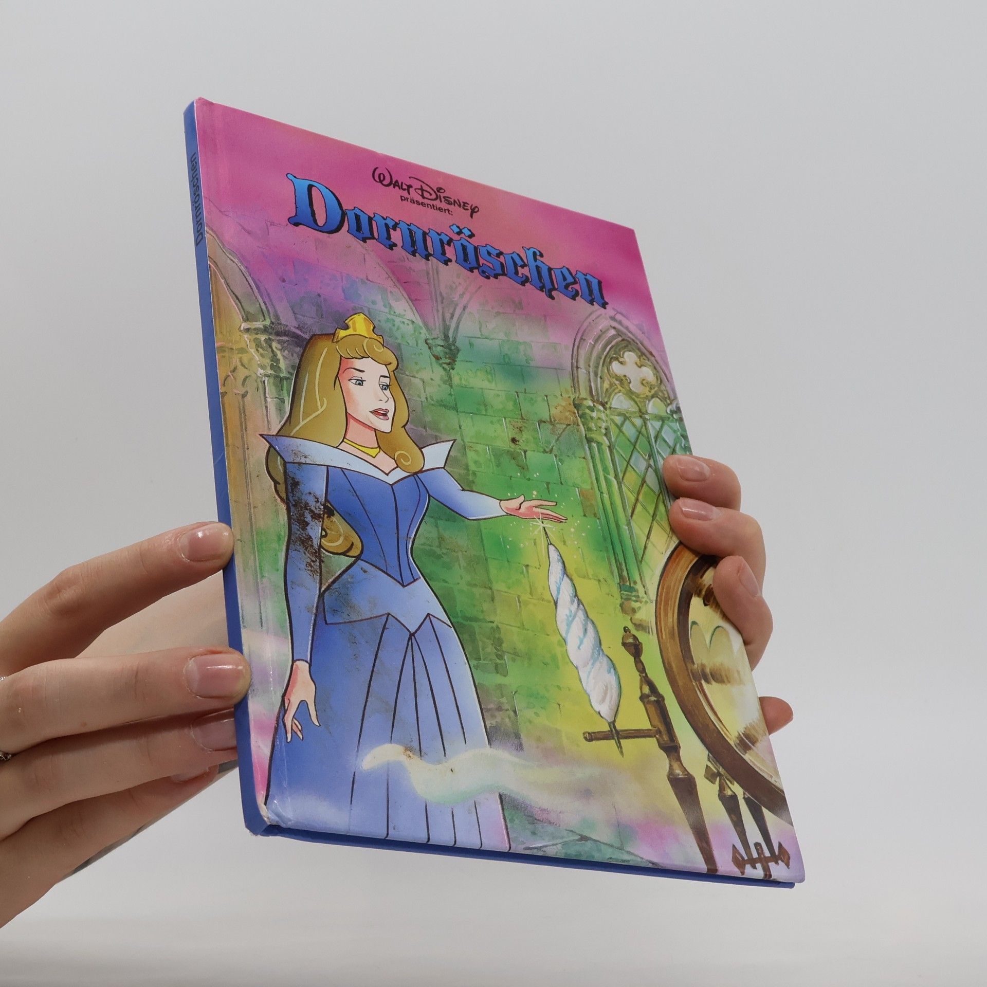 Autorenkollektiv Dornröschen