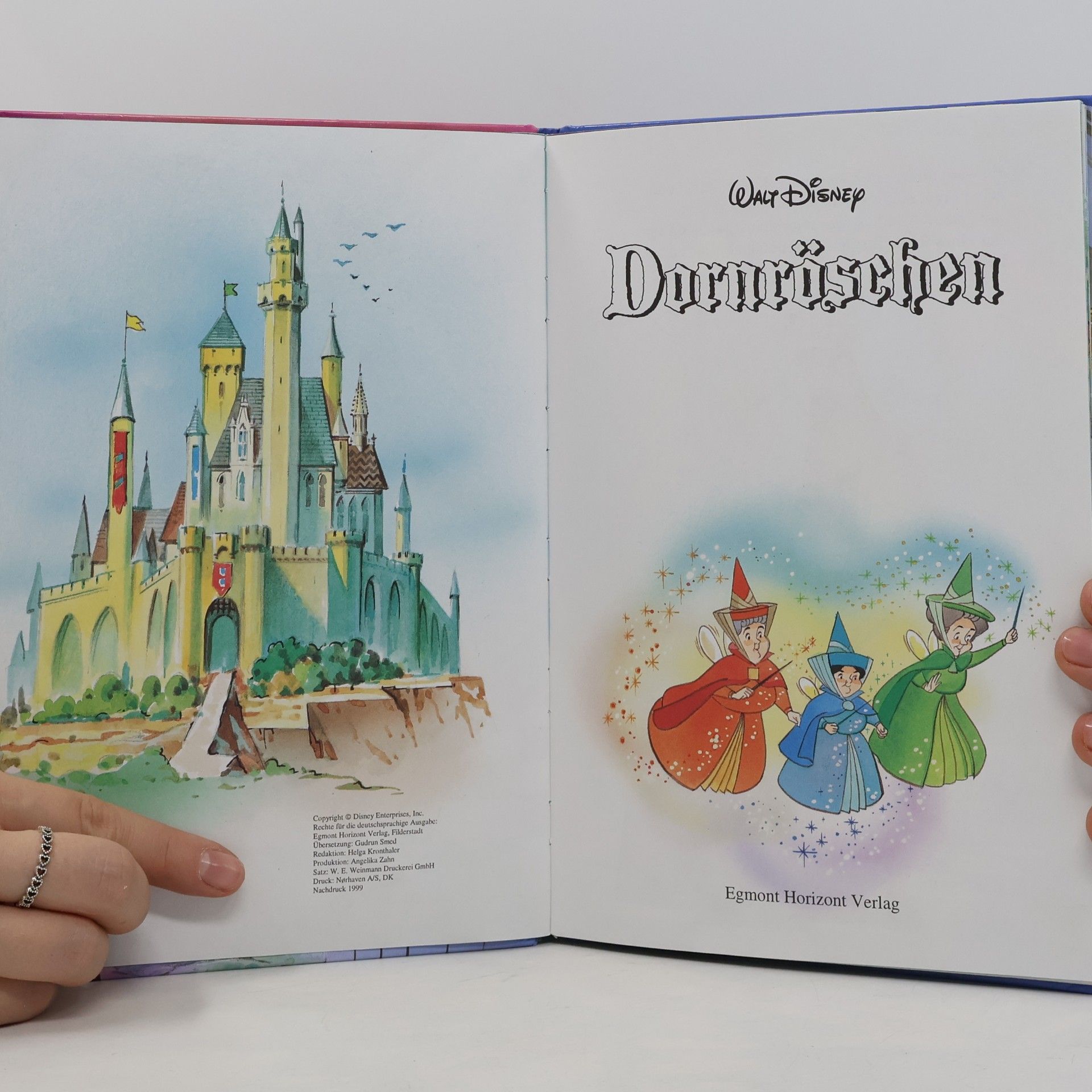 Autorenkollektiv Dornröschen
