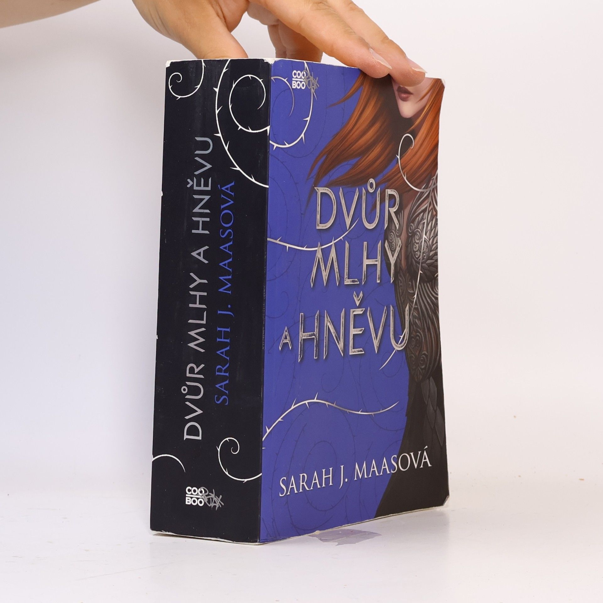 Sarah J. Maas Dvůr mlhy a hněvu