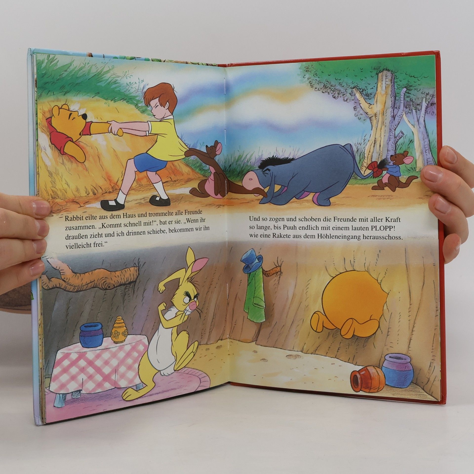 Kolektív autorov Winnie Puuh und der Honigbaum