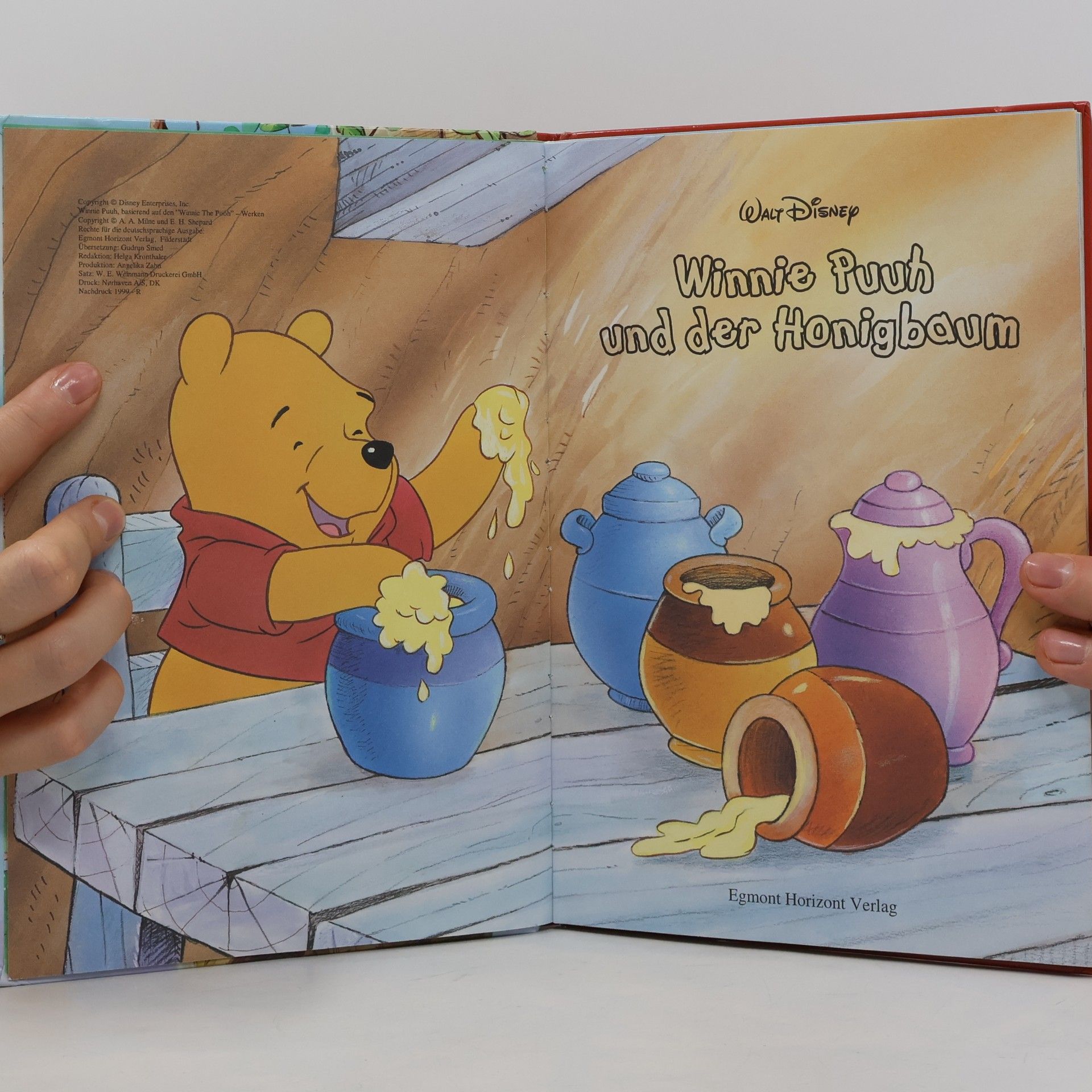 Kolektív autorov Winnie Puuh und der Honigbaum