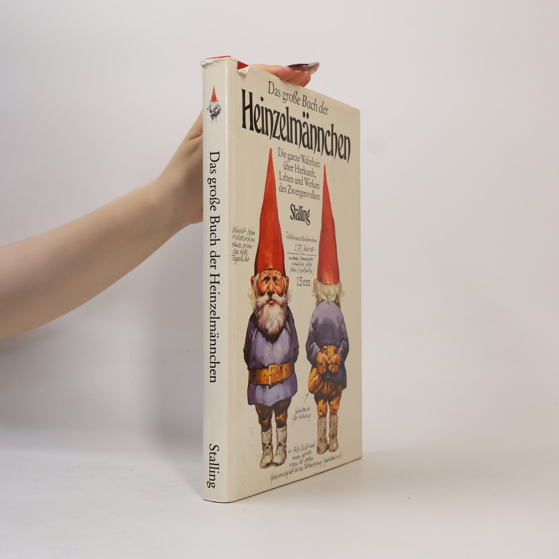 Wil Huygen Das grosse Buch der Heinzelmännchen