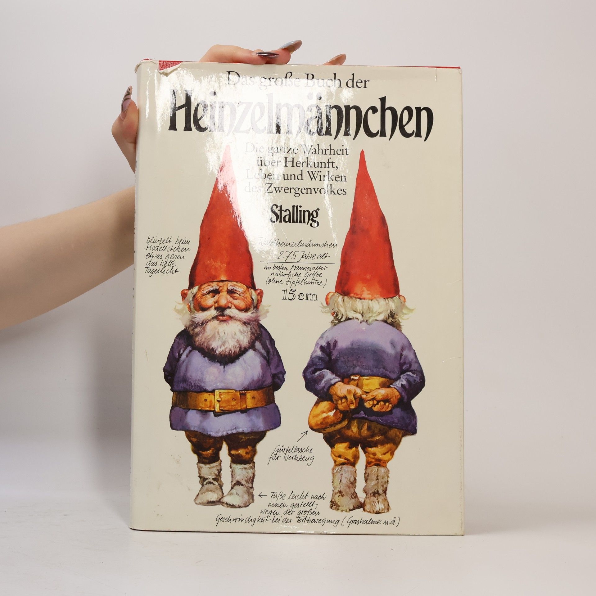 Wil Huygen Das grosse Buch der Heinzelmännchen