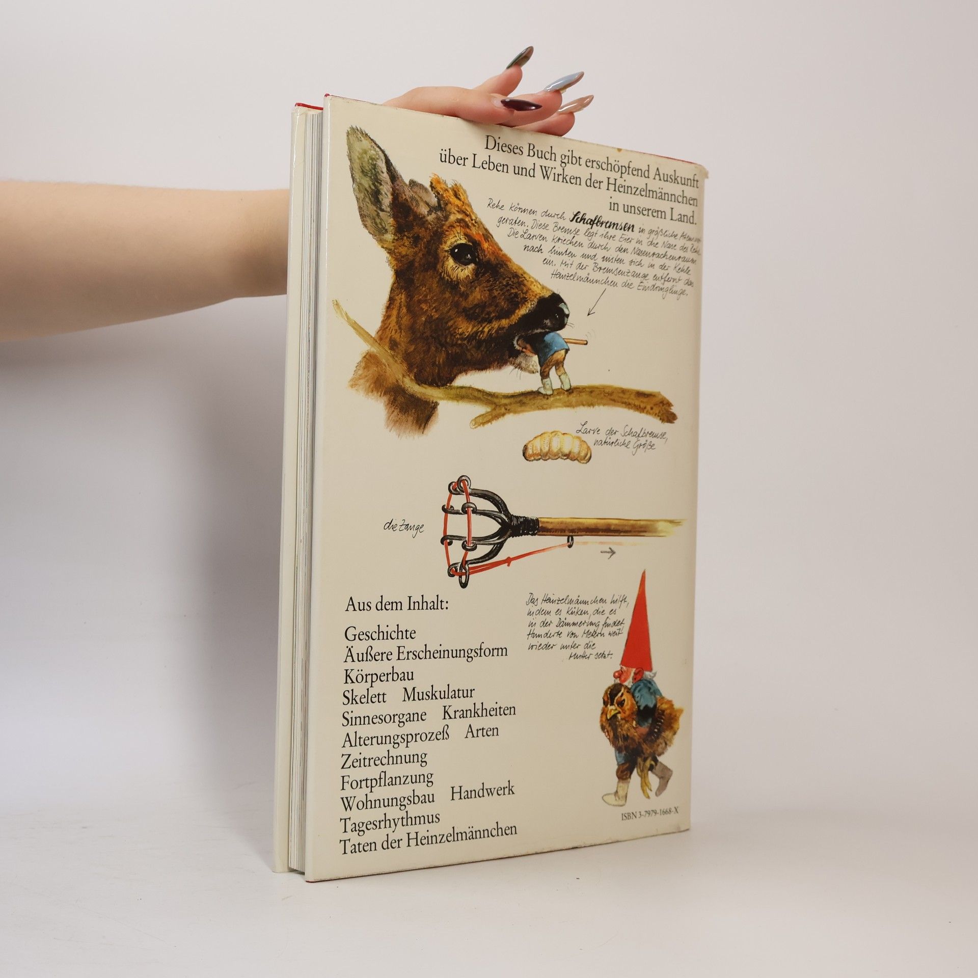 Wil Huygen Das grosse Buch der Heinzelmännchen