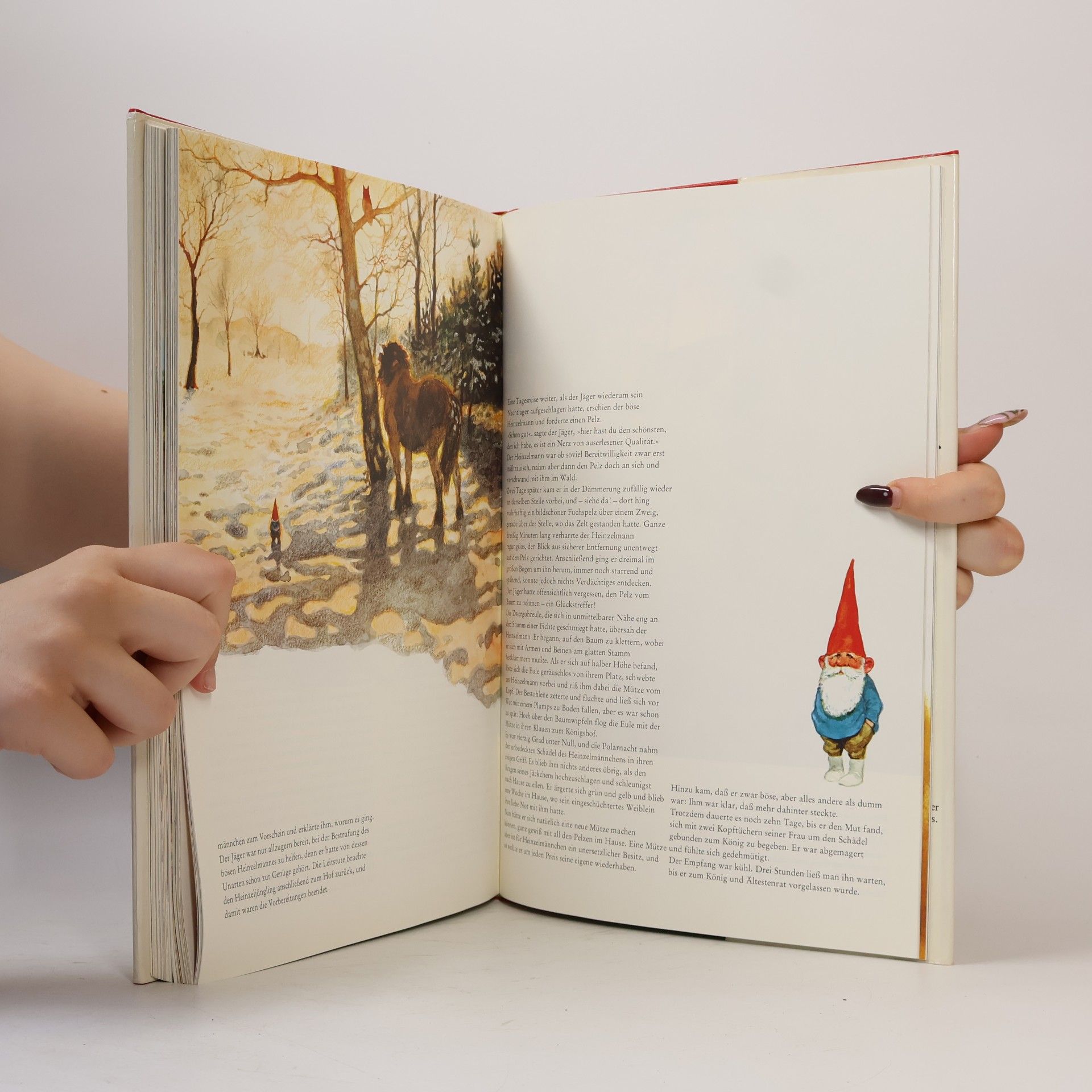 Wil Huygen Das grosse Buch der Heinzelmännchen