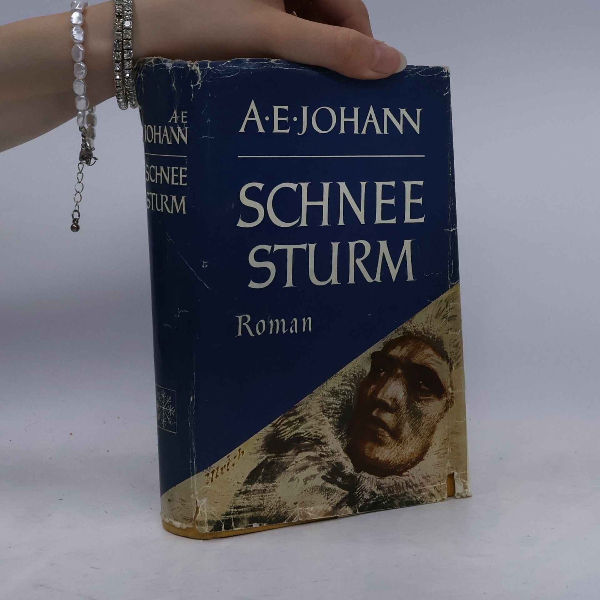 Alfred E. Johann Schneesturm