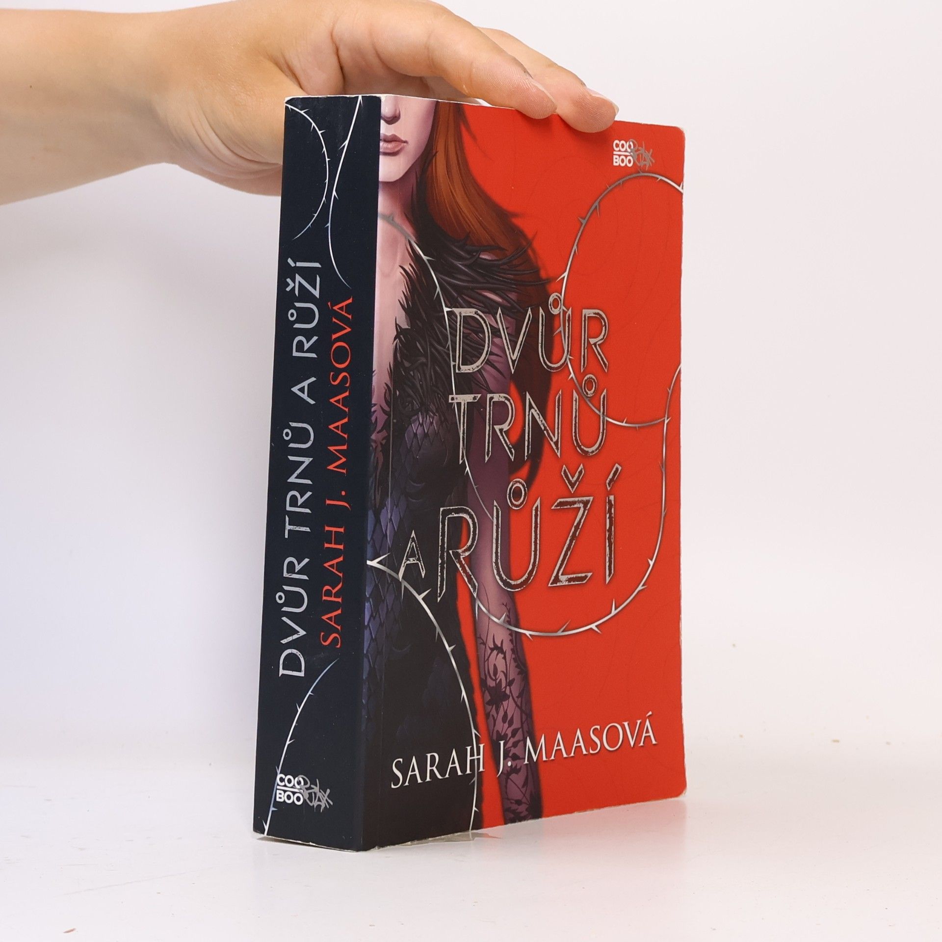 Sarah J. Maas Dvůr trnů a růží