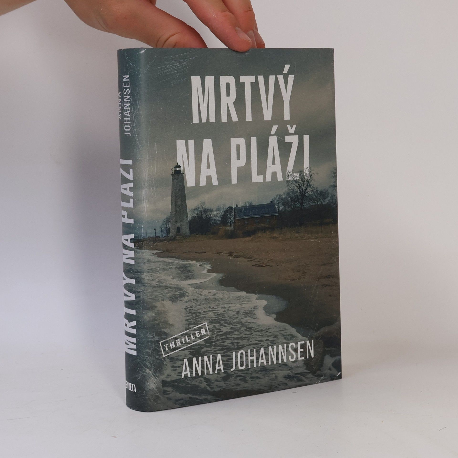 Anna Johannsen Mrtvý na pláži