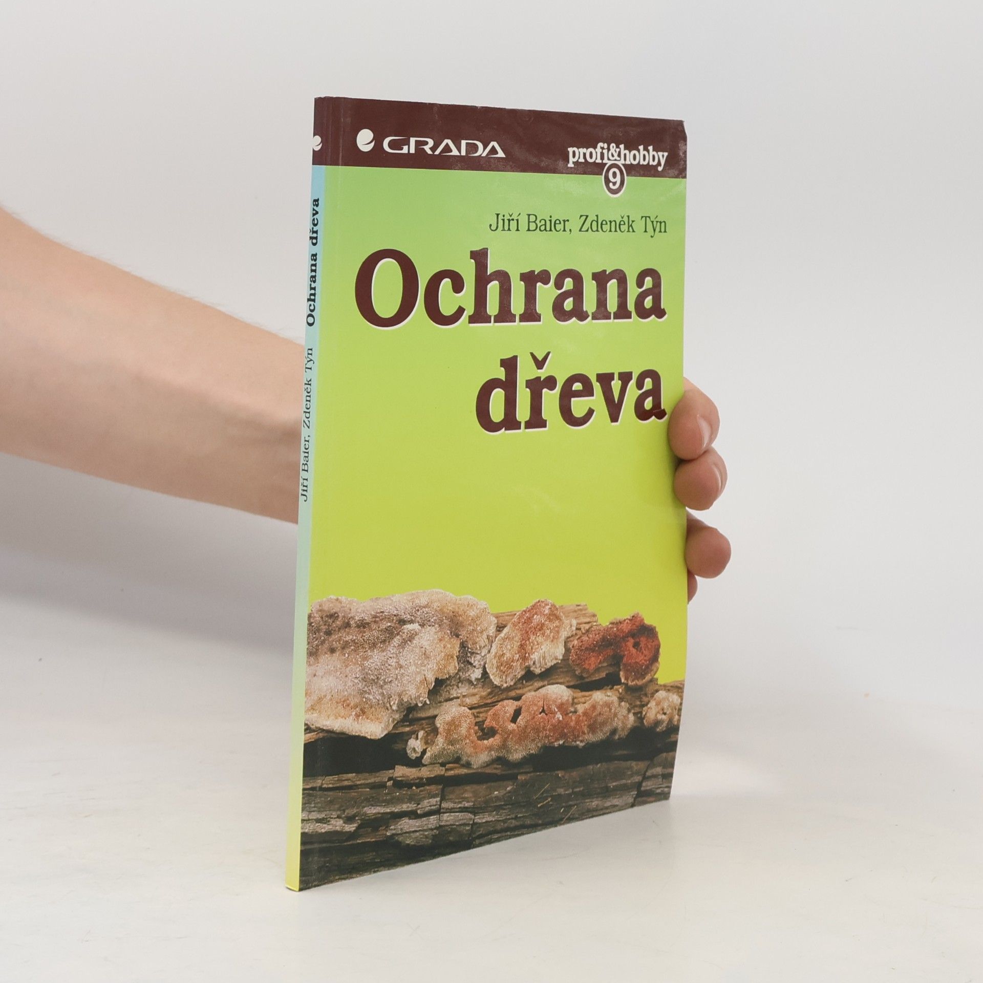 Zdeněk Týn Ochrana dřeva
