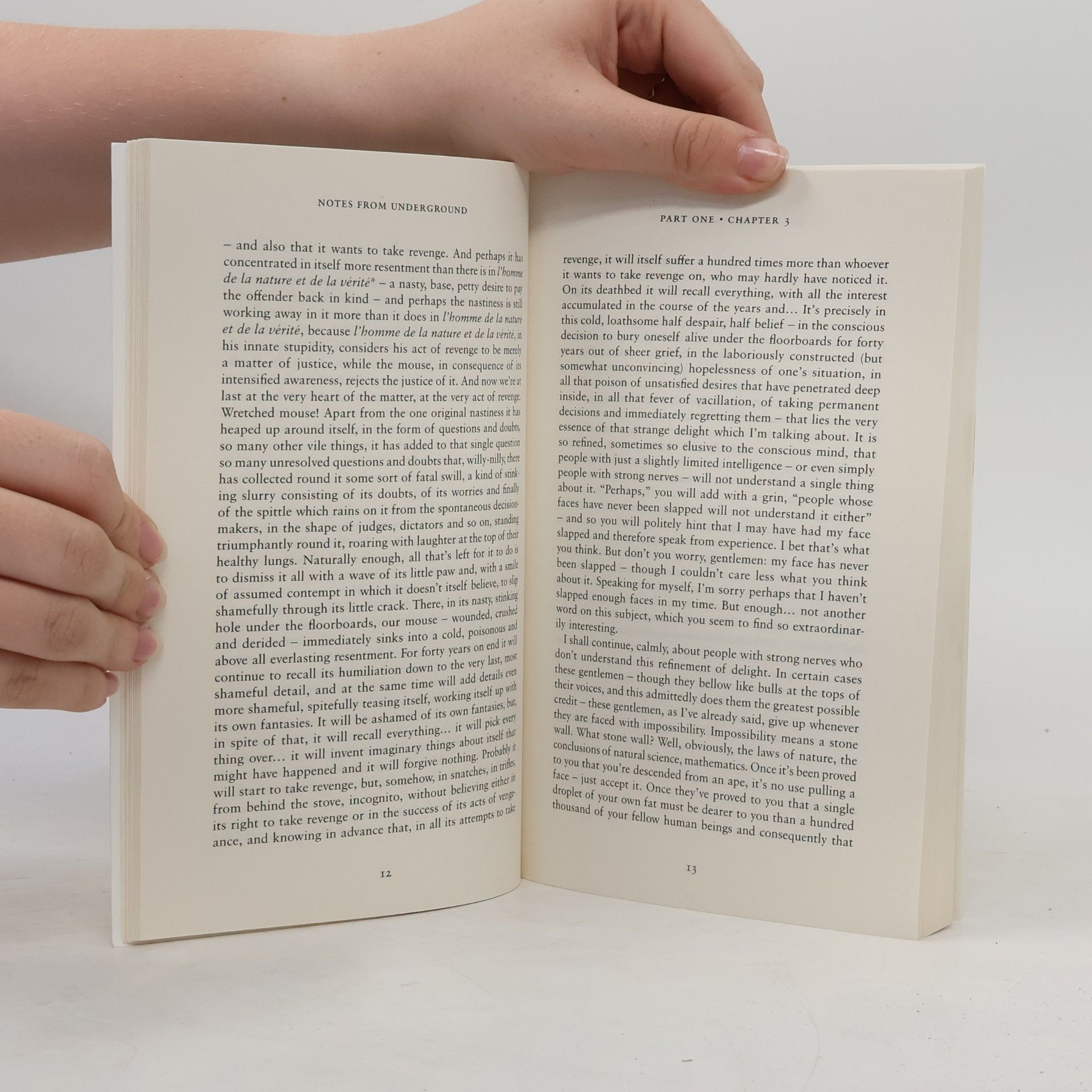 Fyodor Dostoyevsky Notes from Underground: New Translation