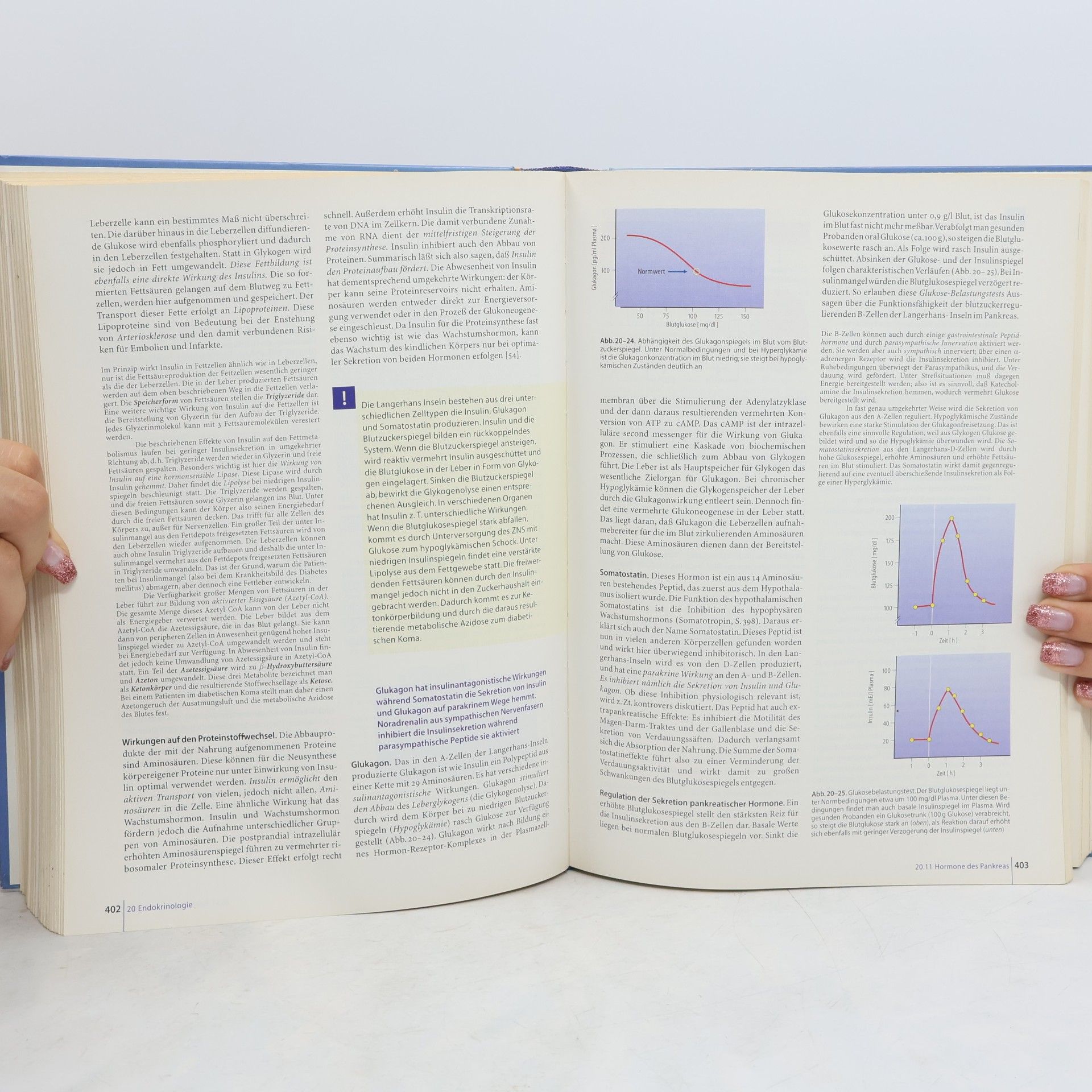 R. F. Schmidt Physiologie des Menschen