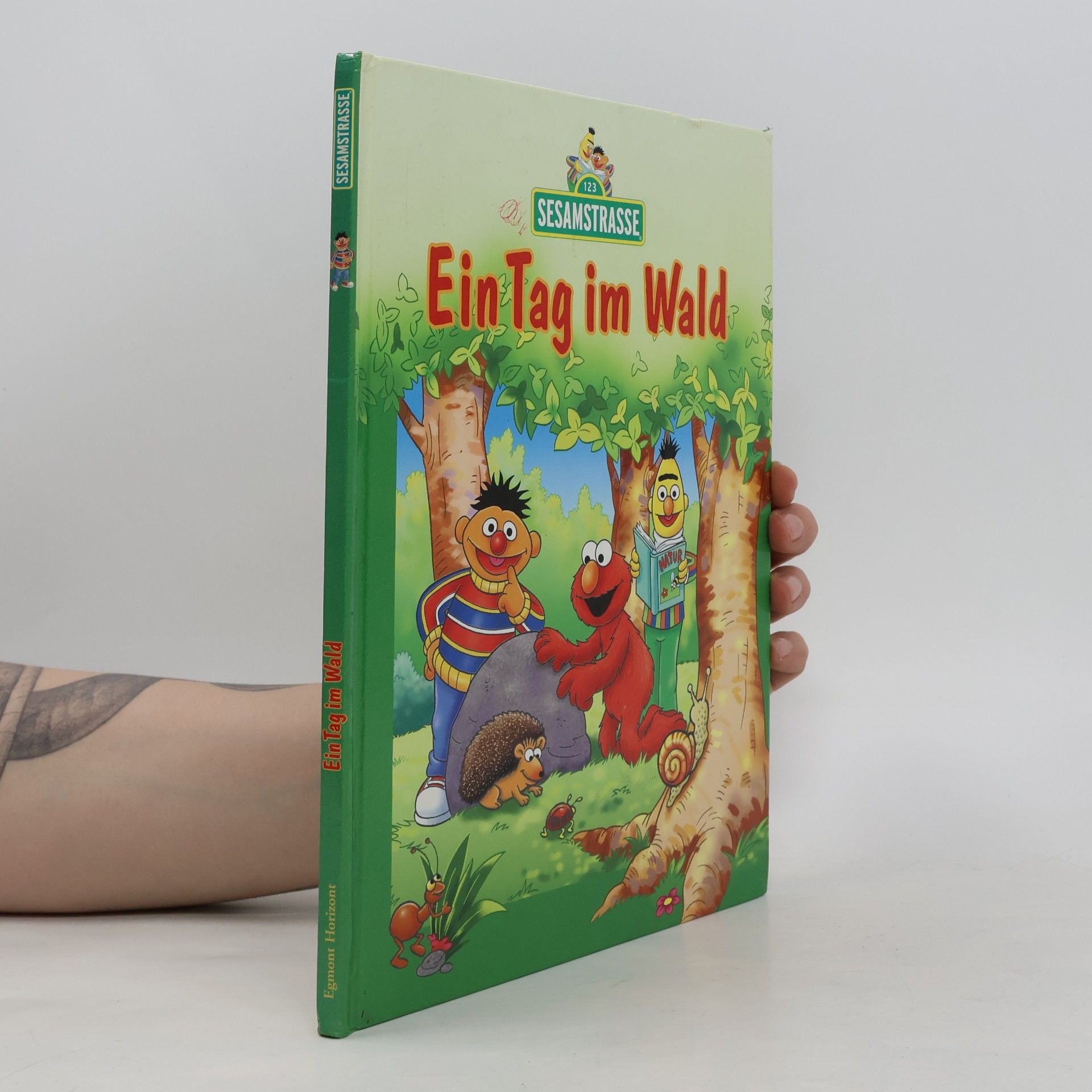 Autorenkollektiv Ein Tag im Wald