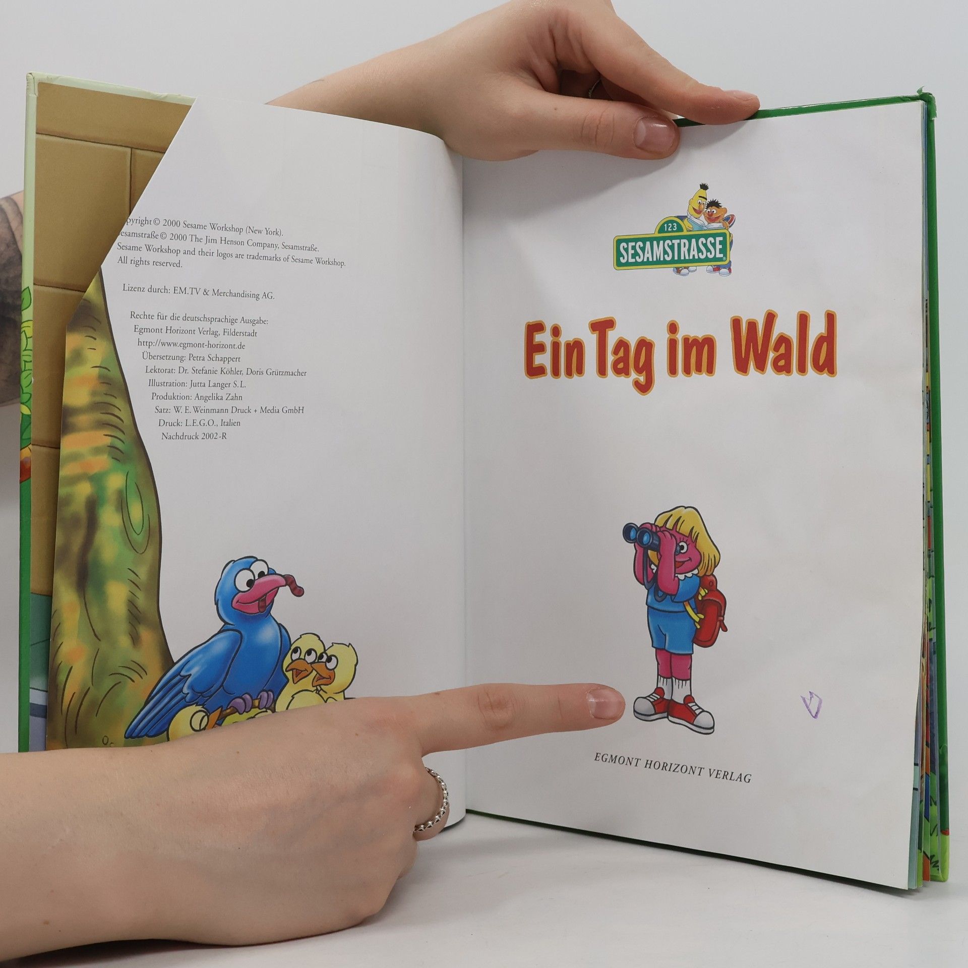Autorenkollektiv Ein Tag im Wald