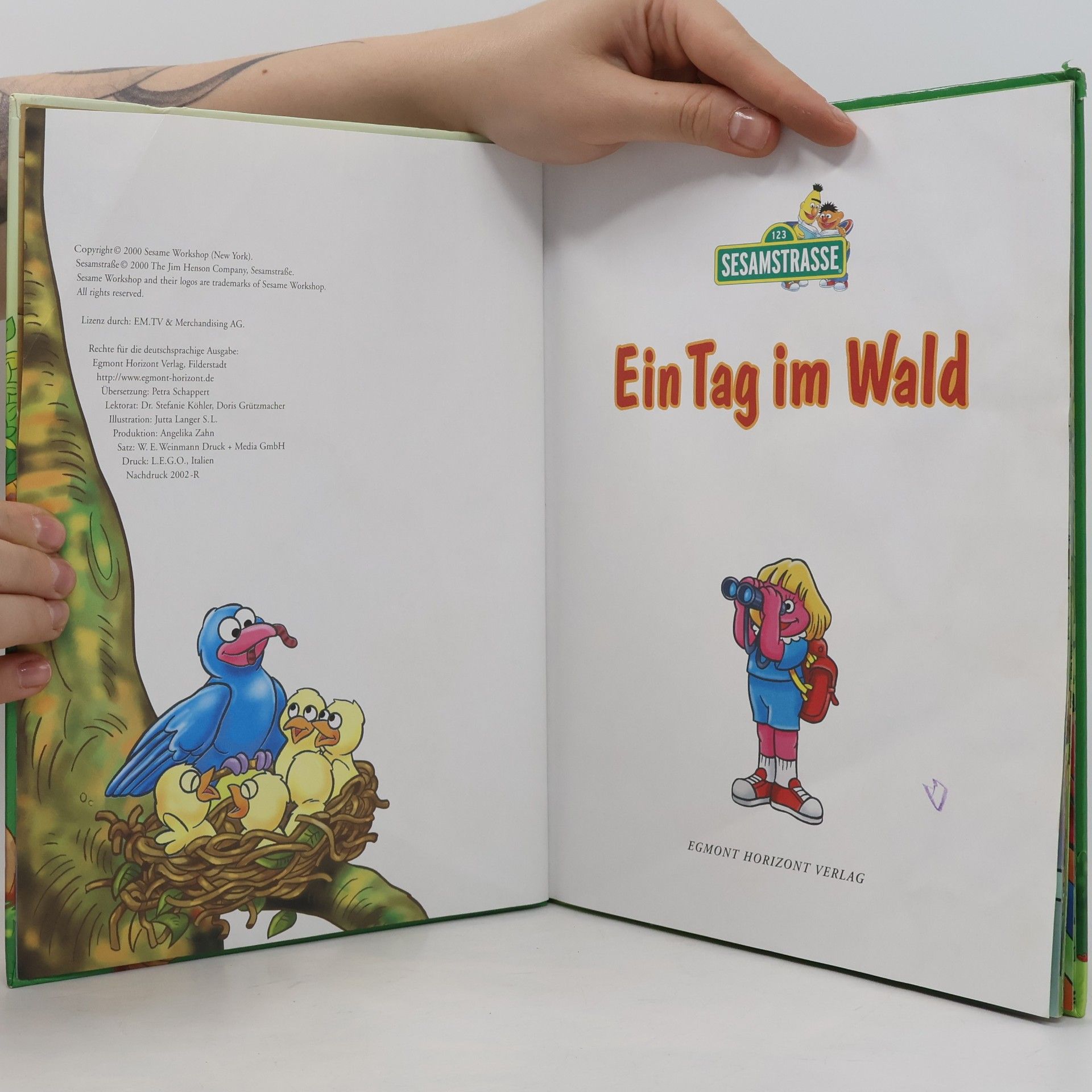 Autorenkollektiv Ein Tag im Wald