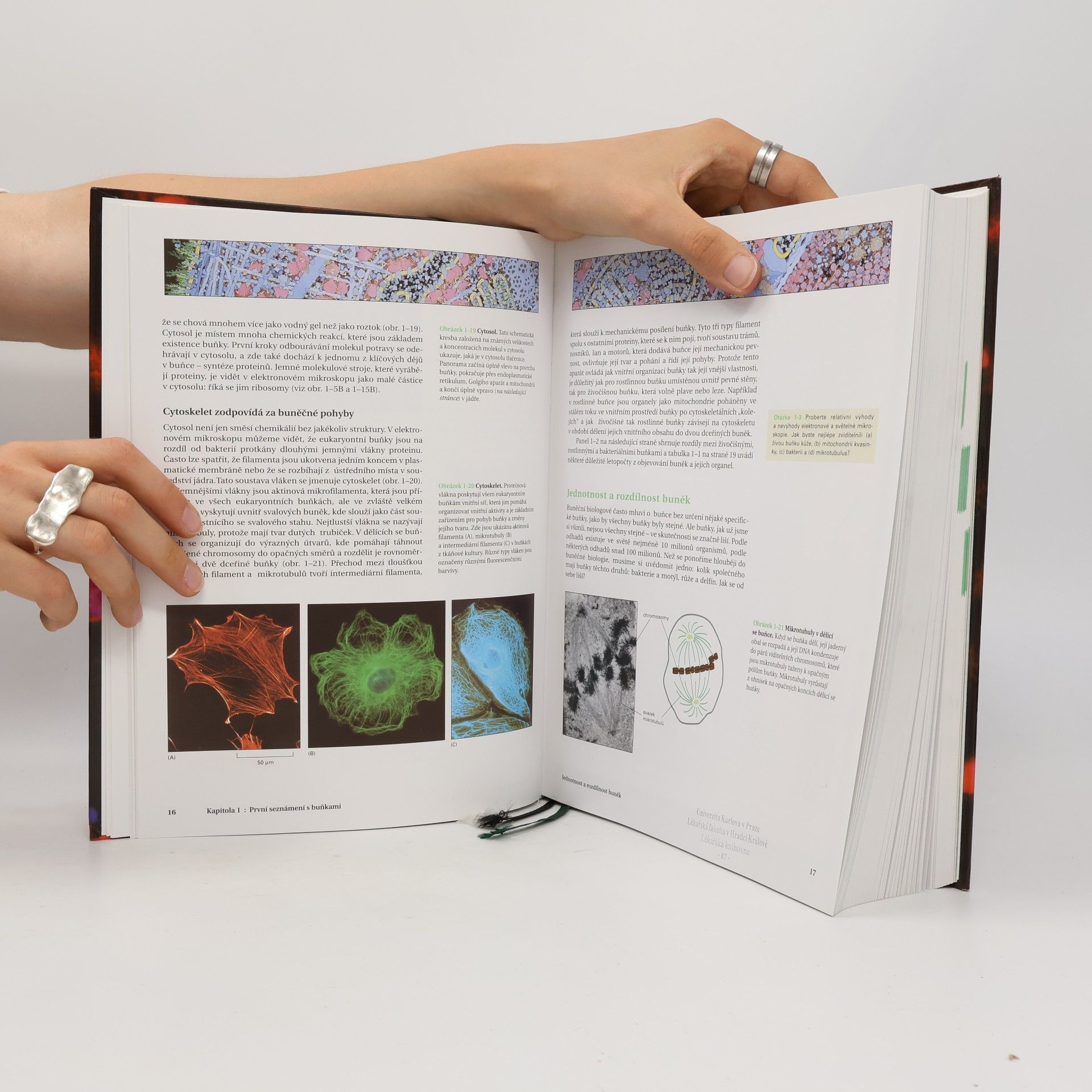 Bruce Alberts Základy buněčné biologie - Úvod do molekulární biologie buňky