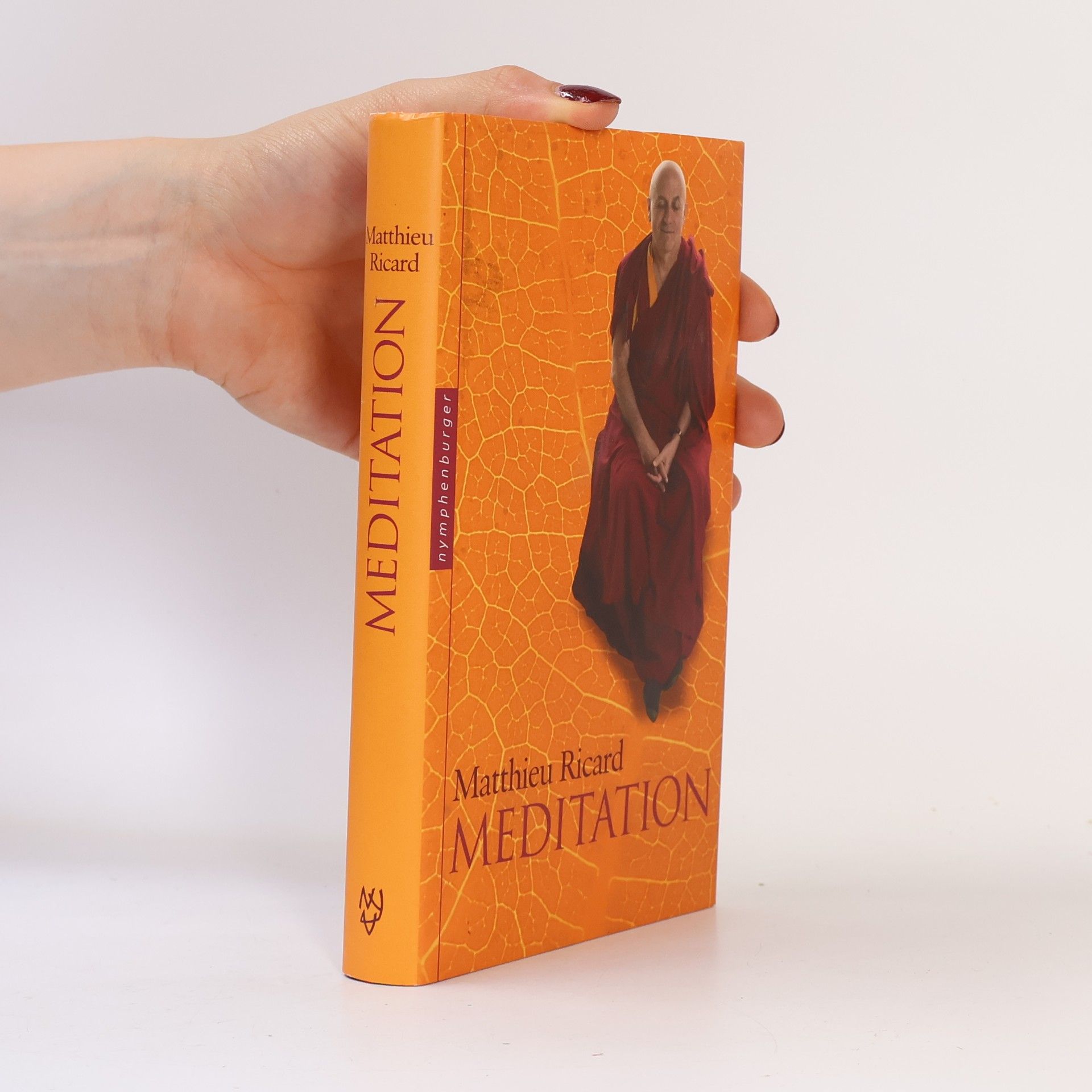 Matthieu Ricard Meditation