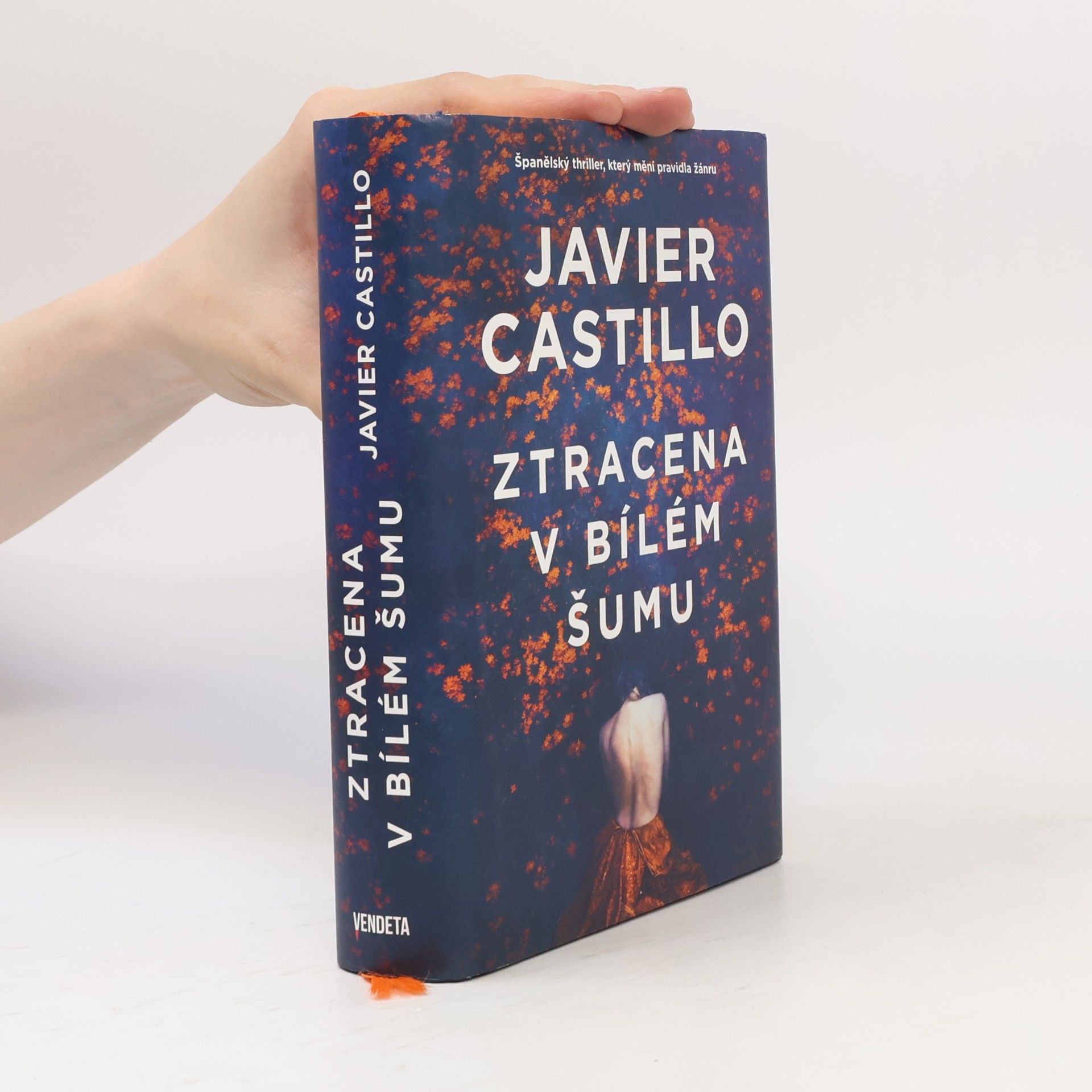 Javier Castillo Ztracena v bílém šumu