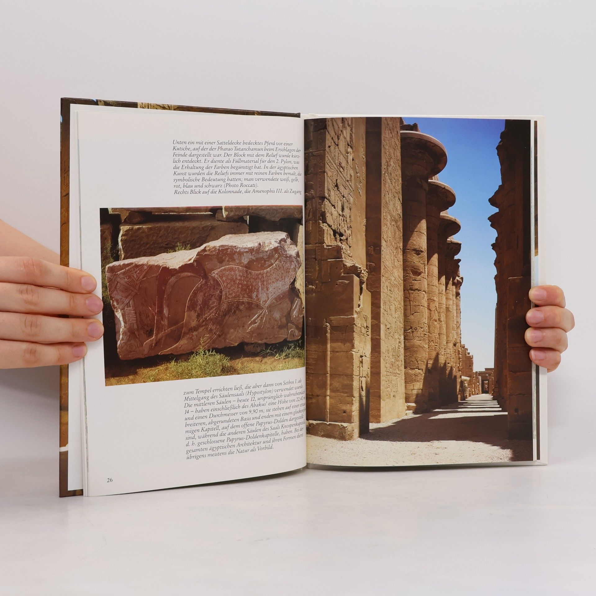 Alessandro Roccati Die Tempel von Karnak und Luxor
