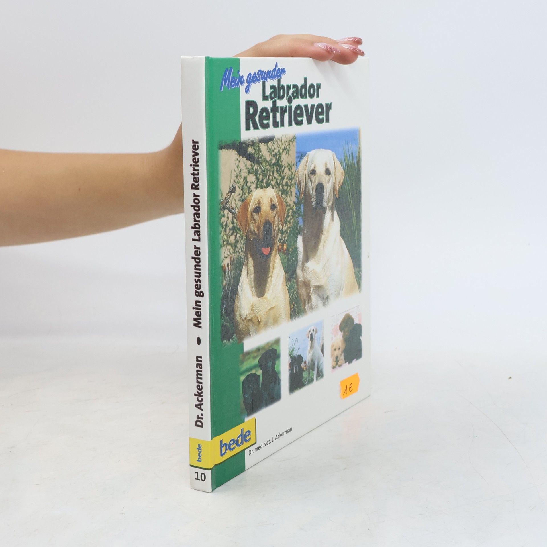 Lowell J. Ackerman Mein gesunder Labrador Retriever