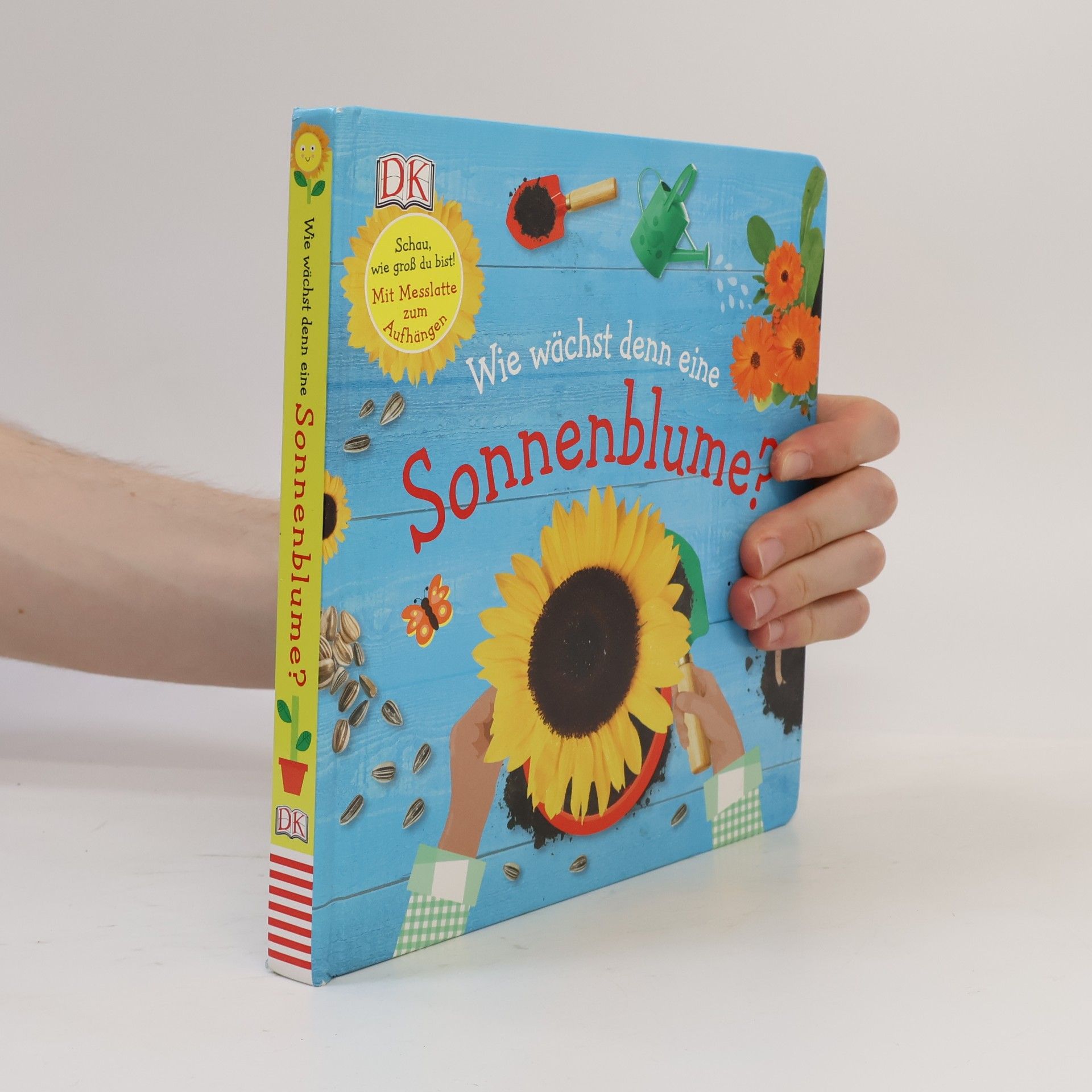 Dawn Sirett Wie wächst denn eine Sonnenblume?