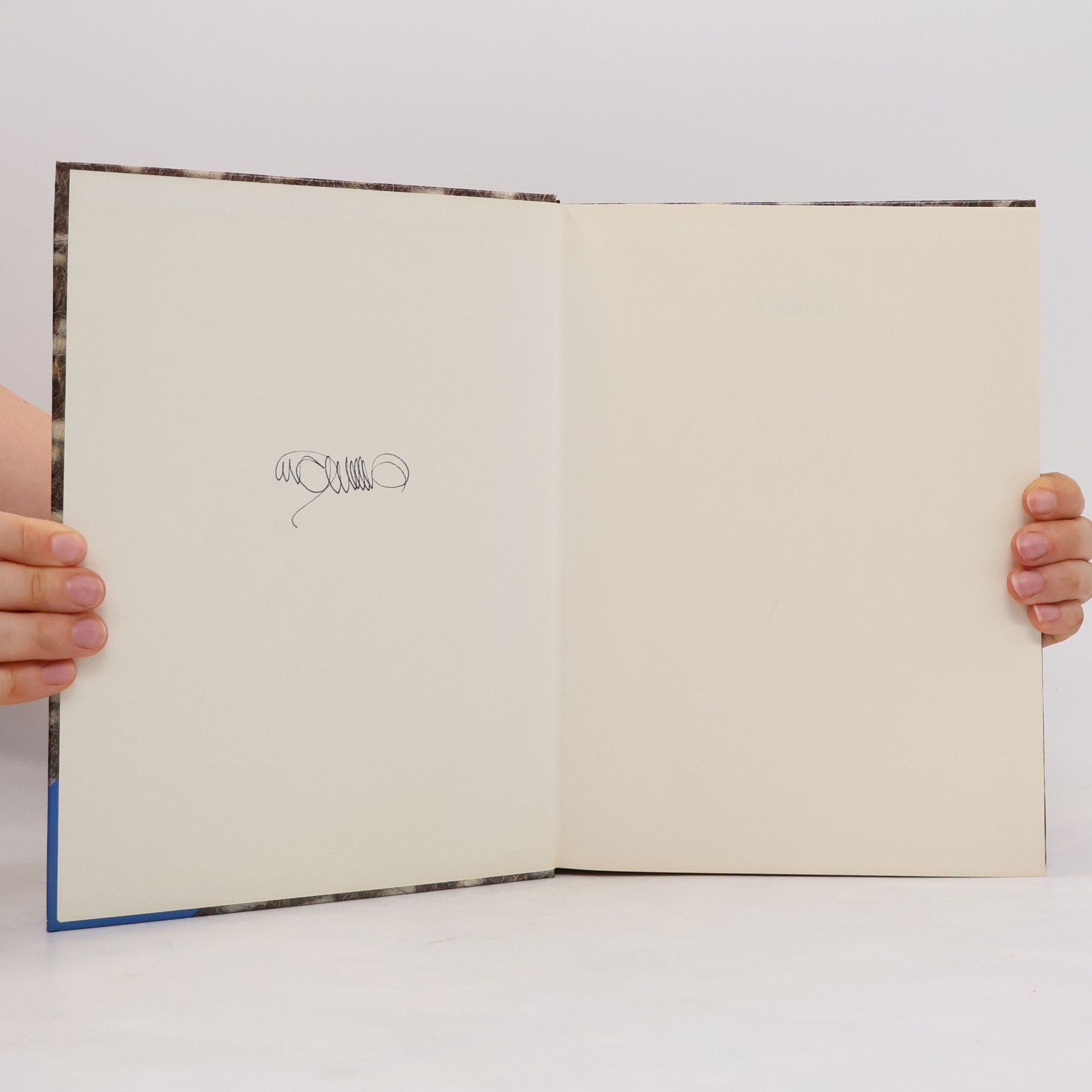 Erika Arndt Ravensburger Webbuch