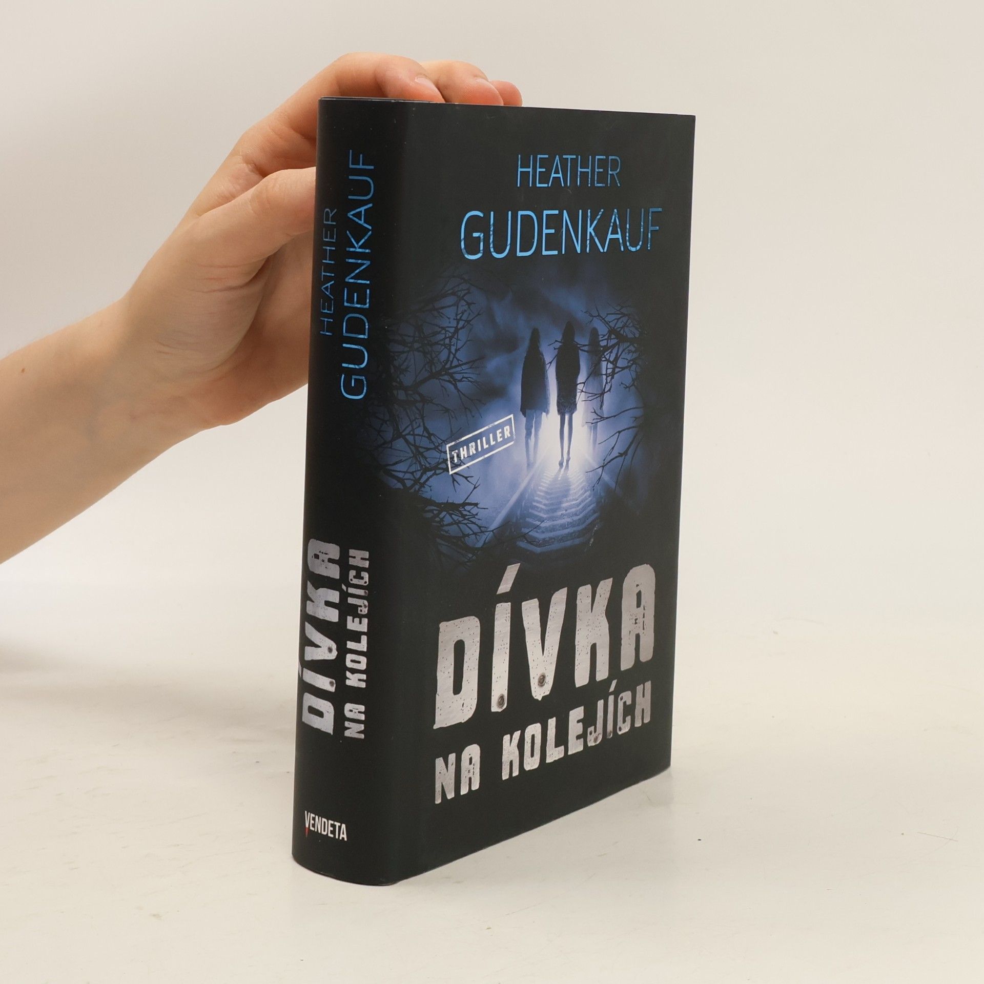 Heather Gudenkauf Dívka na kolejích
