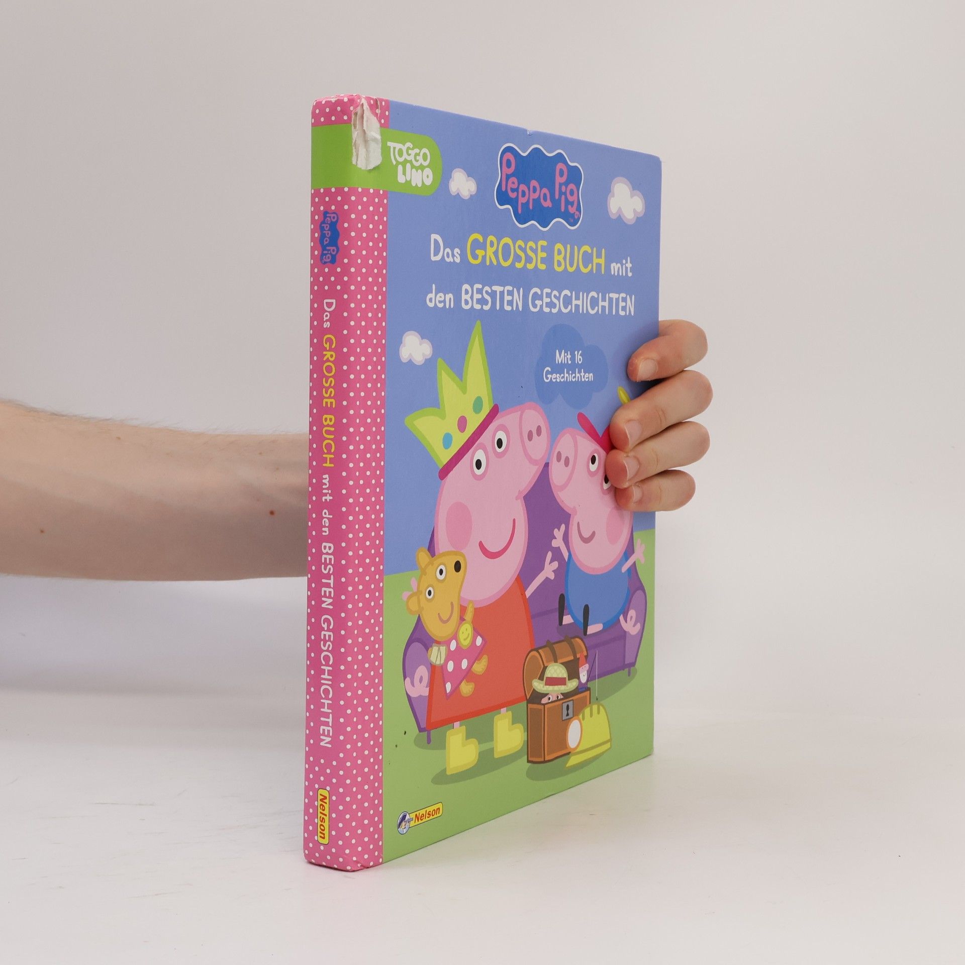 Steffi Korda Peppa Pig: Das große Buch mit den besten Geschichten