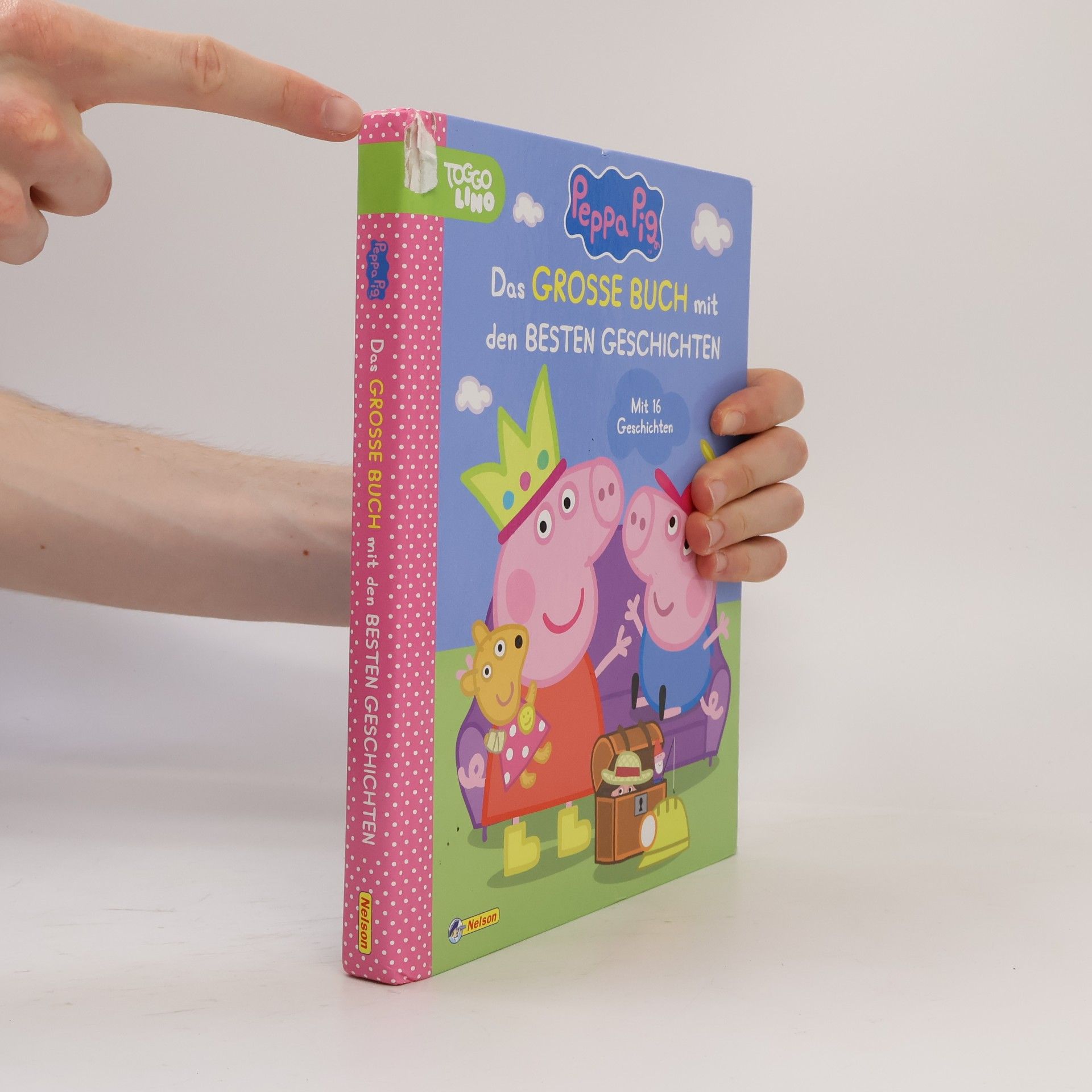 Steffi Korda Peppa Pig: Das große Buch mit den besten Geschichten