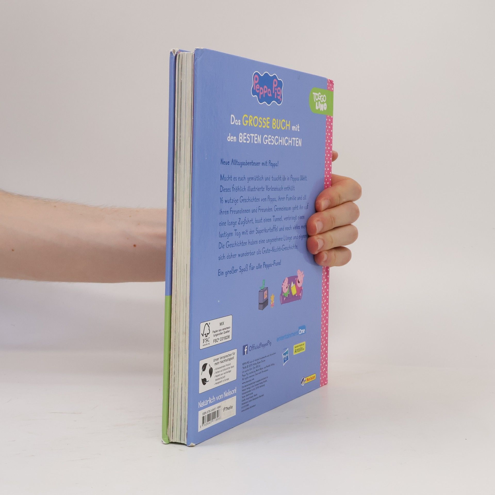 Steffi Korda Peppa Pig: Das große Buch mit den besten Geschichten