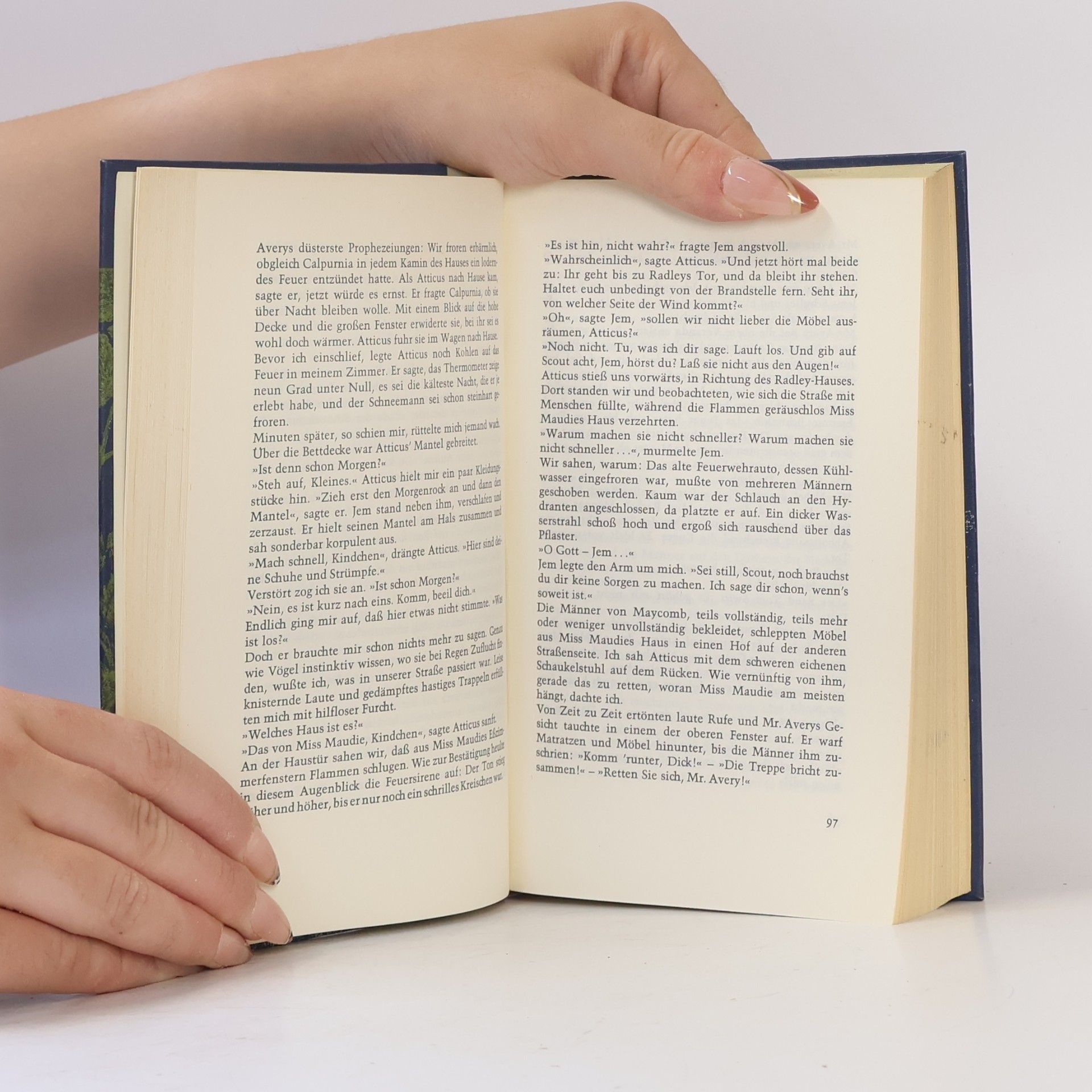 Harper Lee Wer die Nachtigall stört