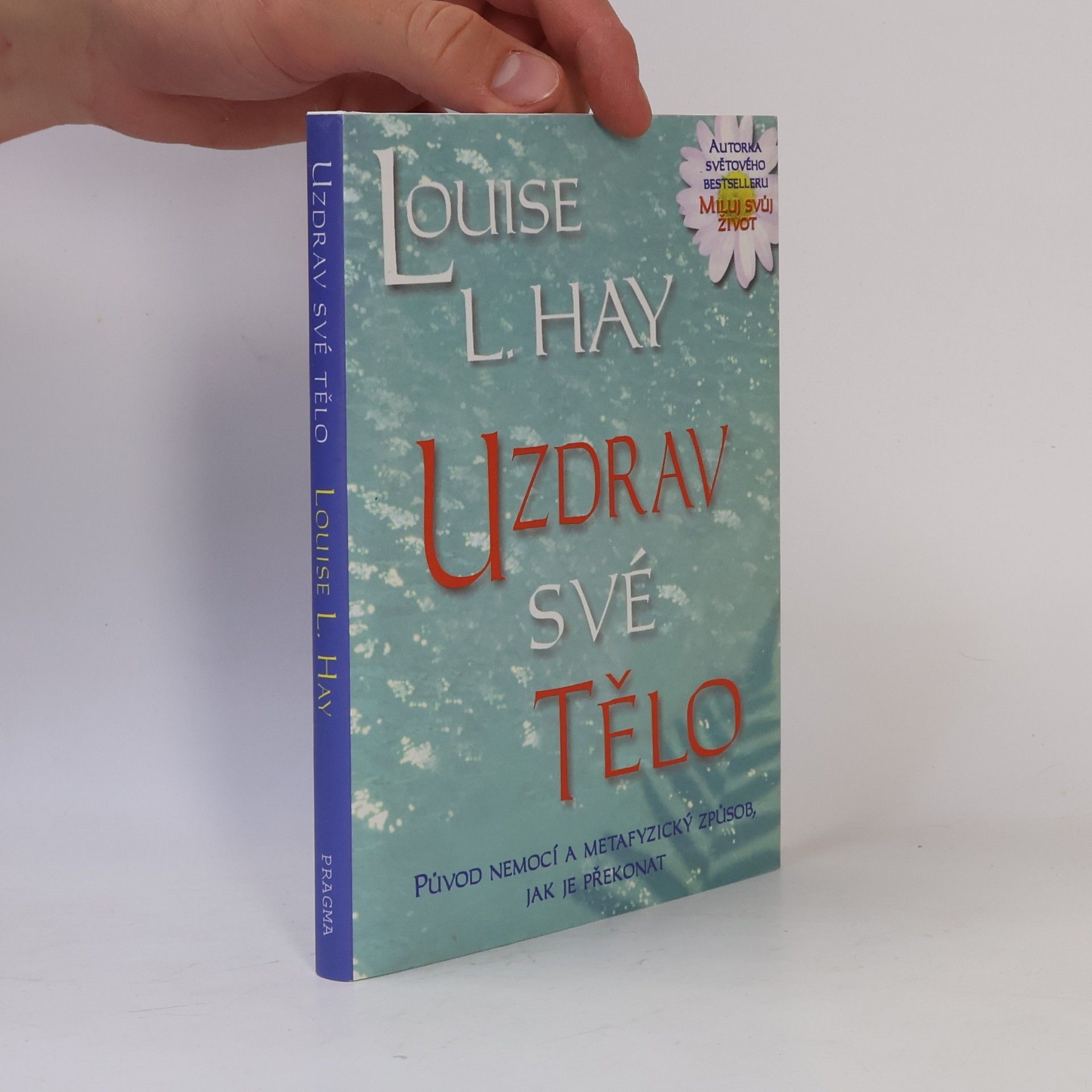 Louise Lynn Hay Uzdrav své tělo: Původ nemocí a metafyzický způsob, jak je překonat
