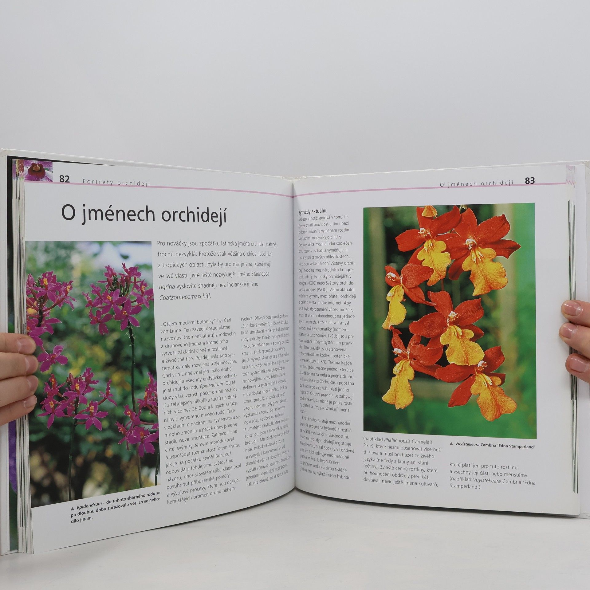 Joachim Erfkamp Kouzelné orchideje