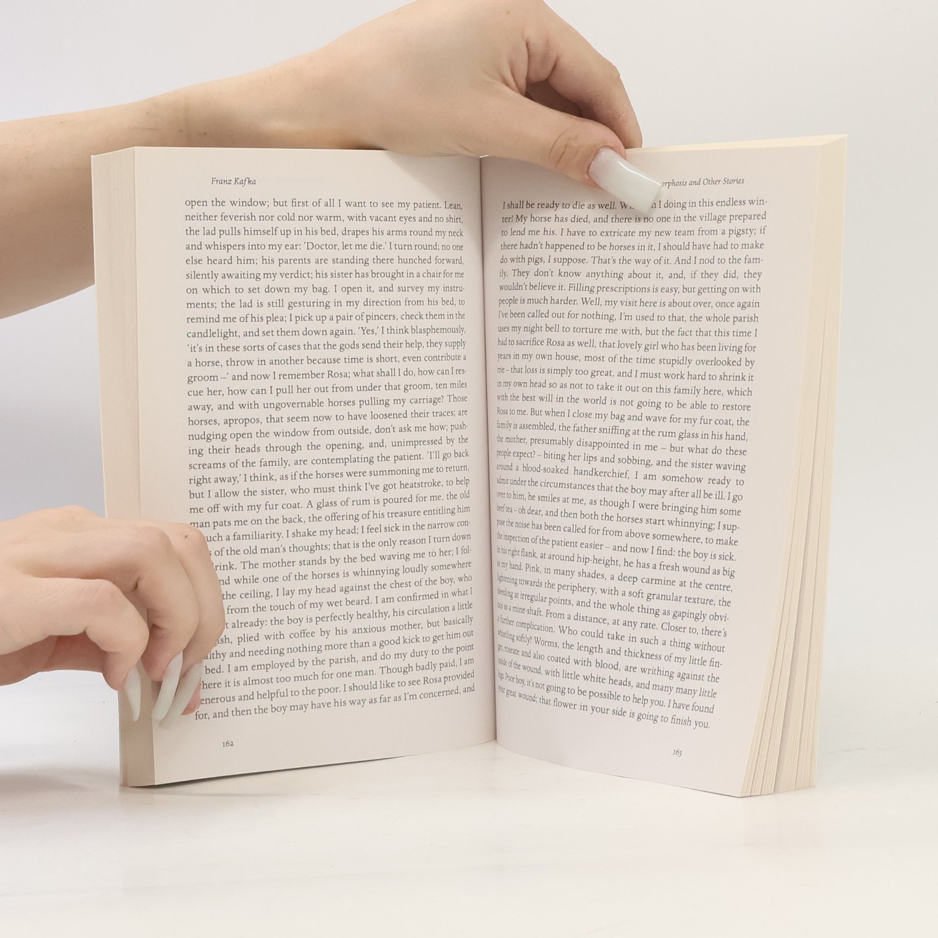 Franz Kafka Metamorphosis and Other Stories