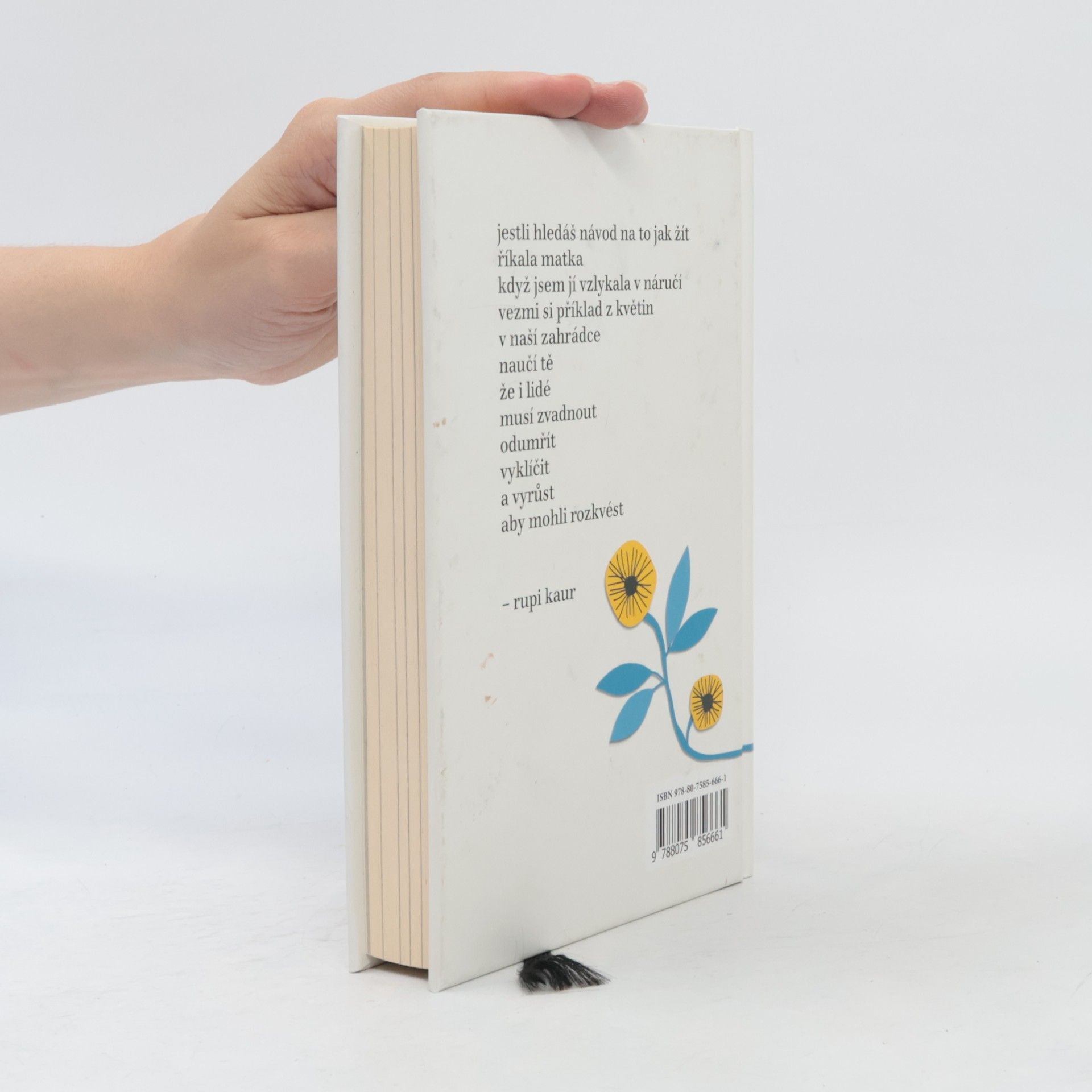 Rupi Kaur Květy slunce