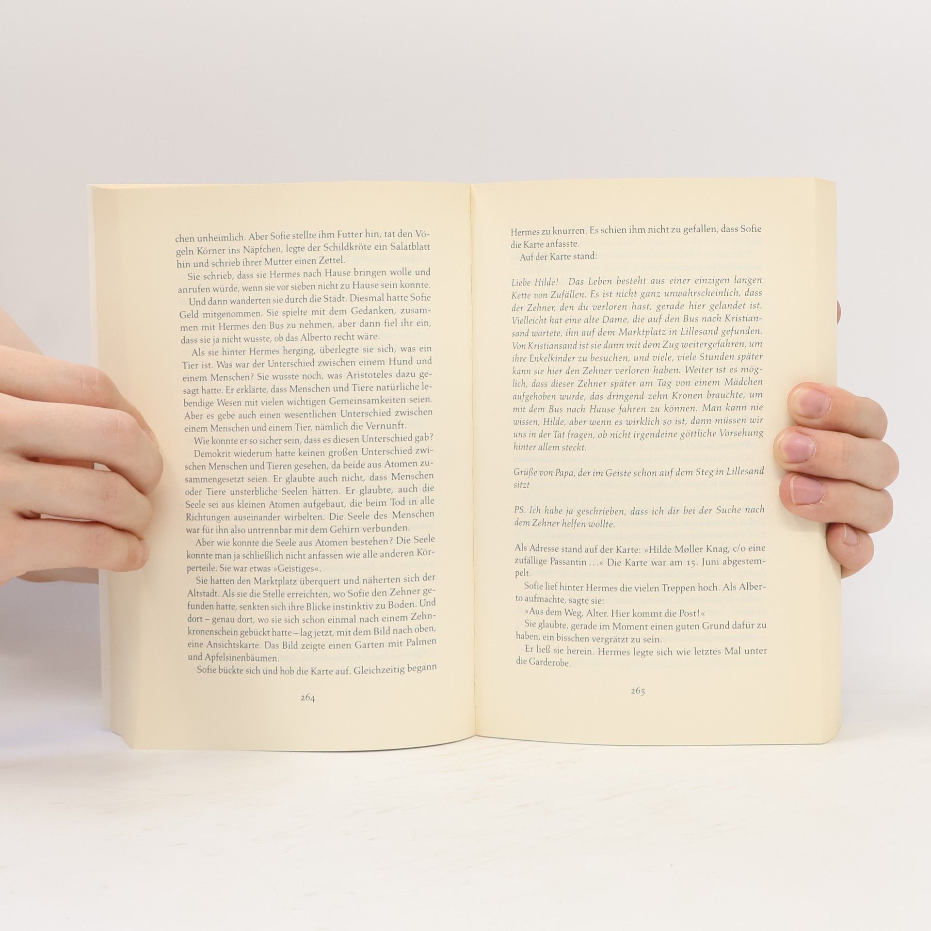 Jostein Gaarder Sofies Welt