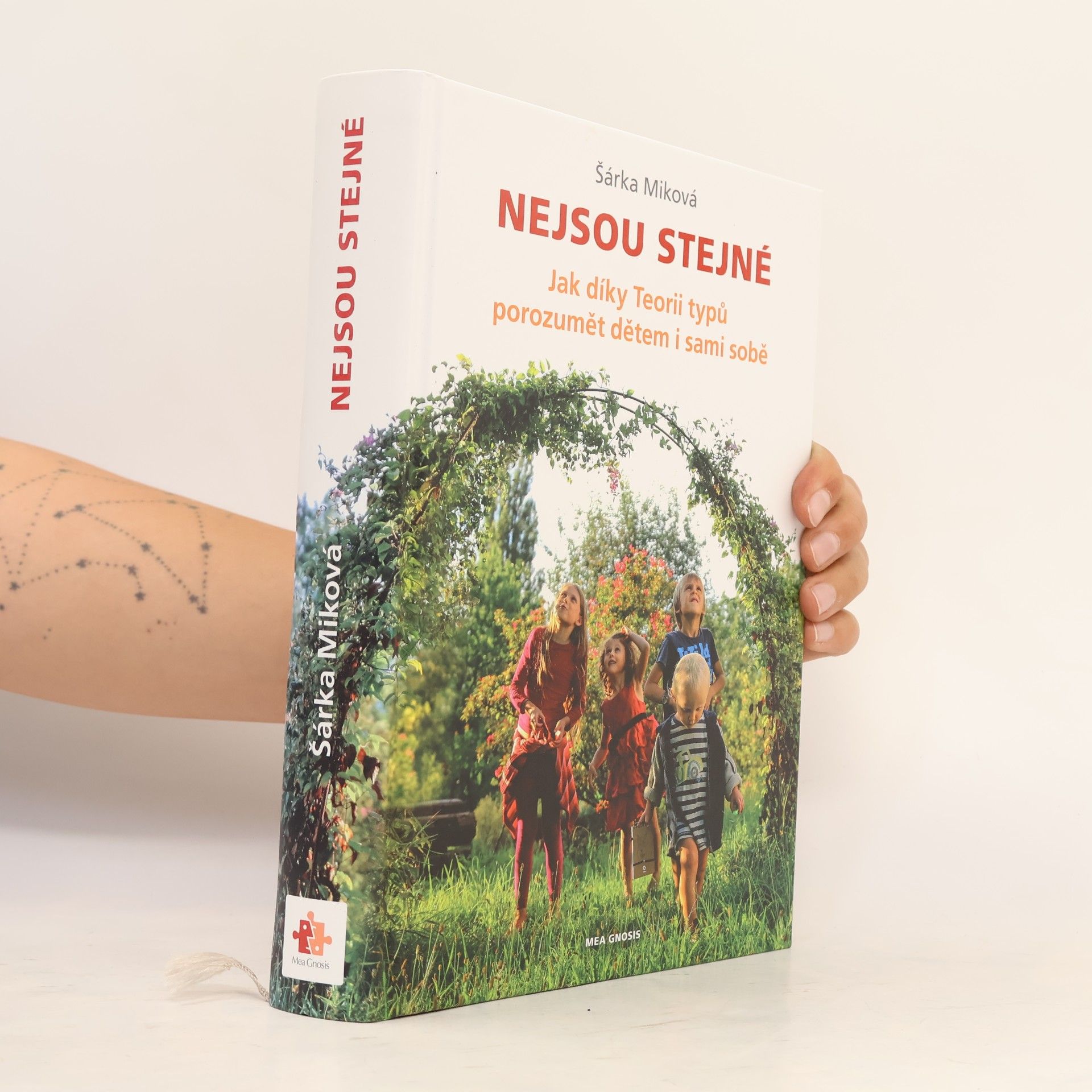 Šárka Miková Nejsou stejné - Jak díky Teorii typů porozumět dětem i sami sobě