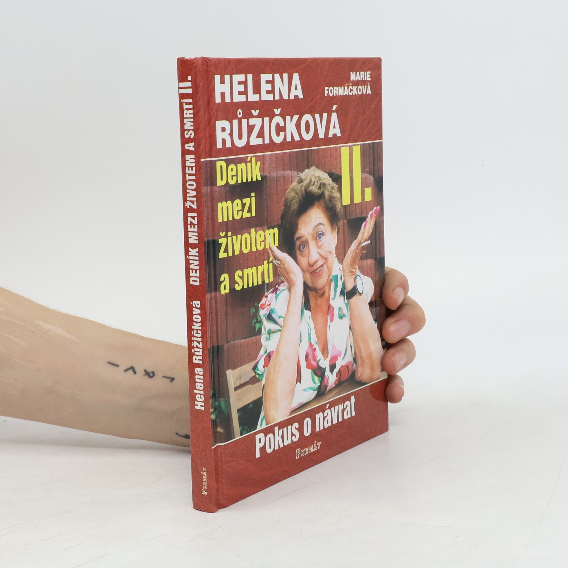 Helena Růžičková Deník mezi životem a smrtí. II., Pokus o návrat
