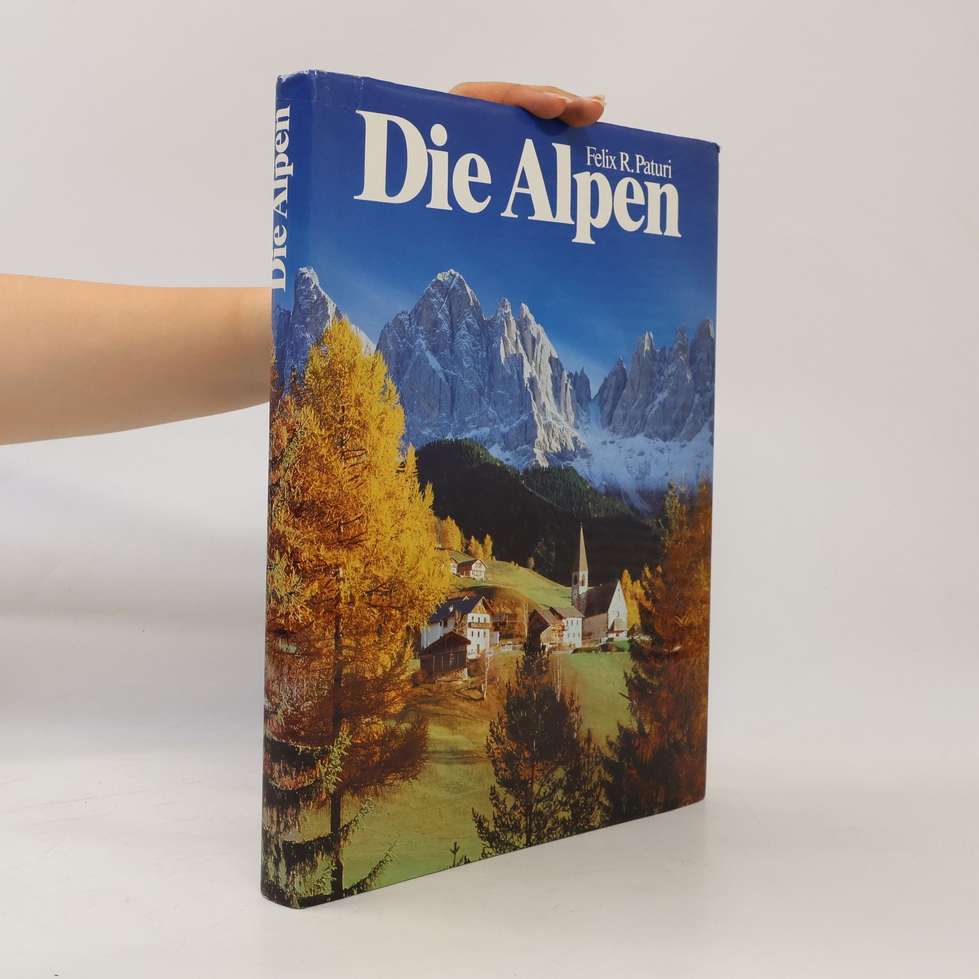 Felix R. Mindt Die Alpen