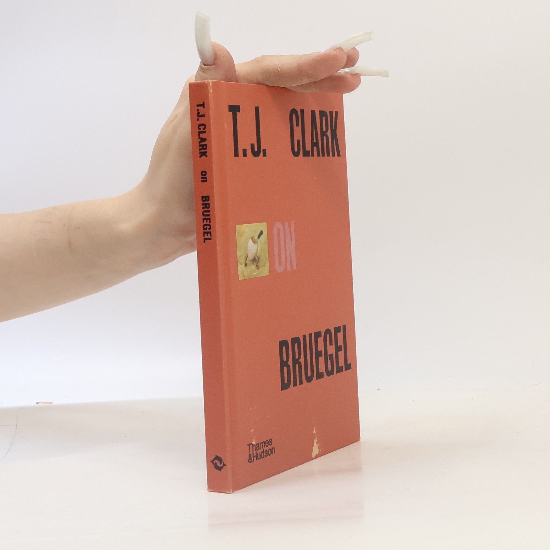 Timothy J. Clark T.J. Clark on Bruegel