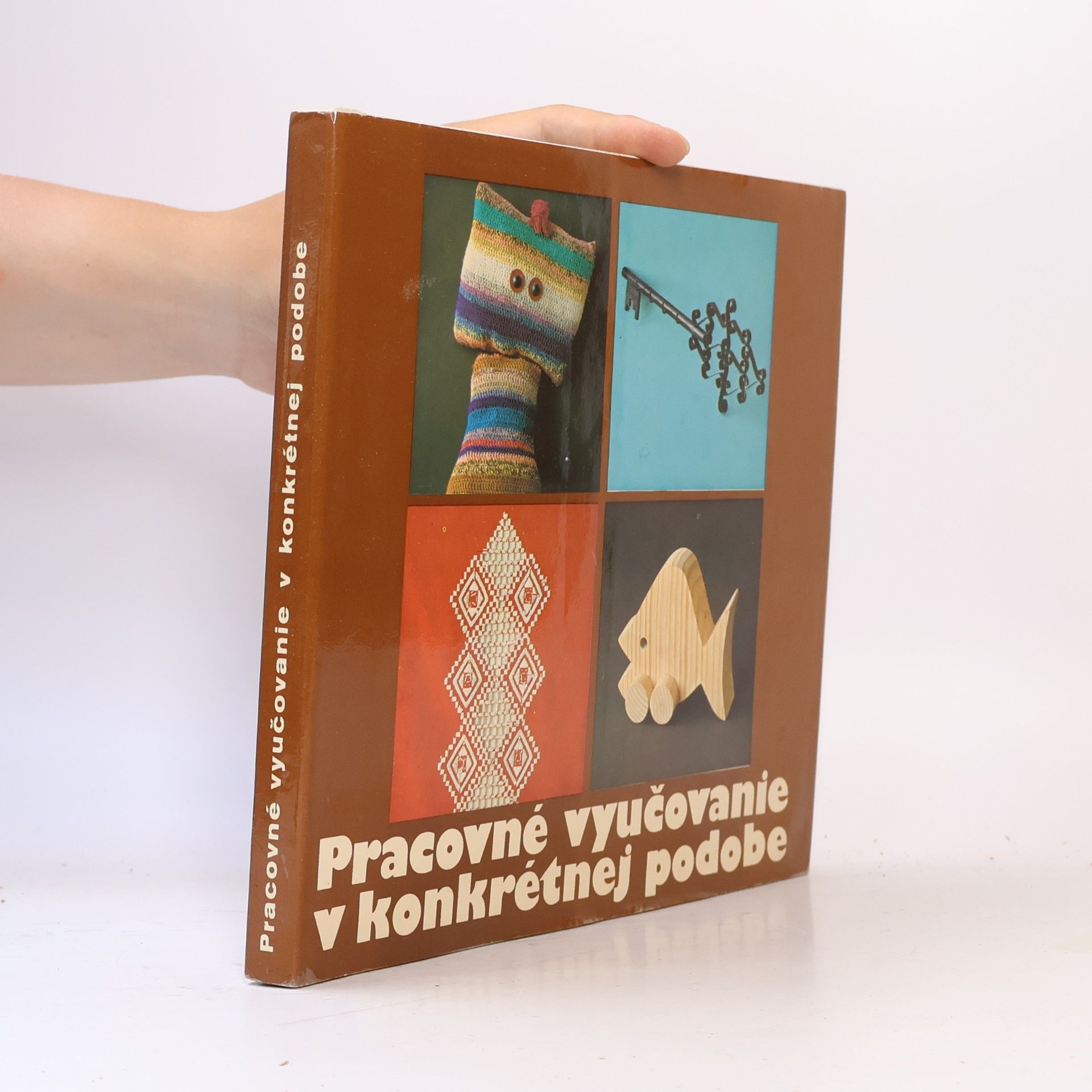 Collectif d'auteurs Pracovné vyučovanie v konkrétnej podobe