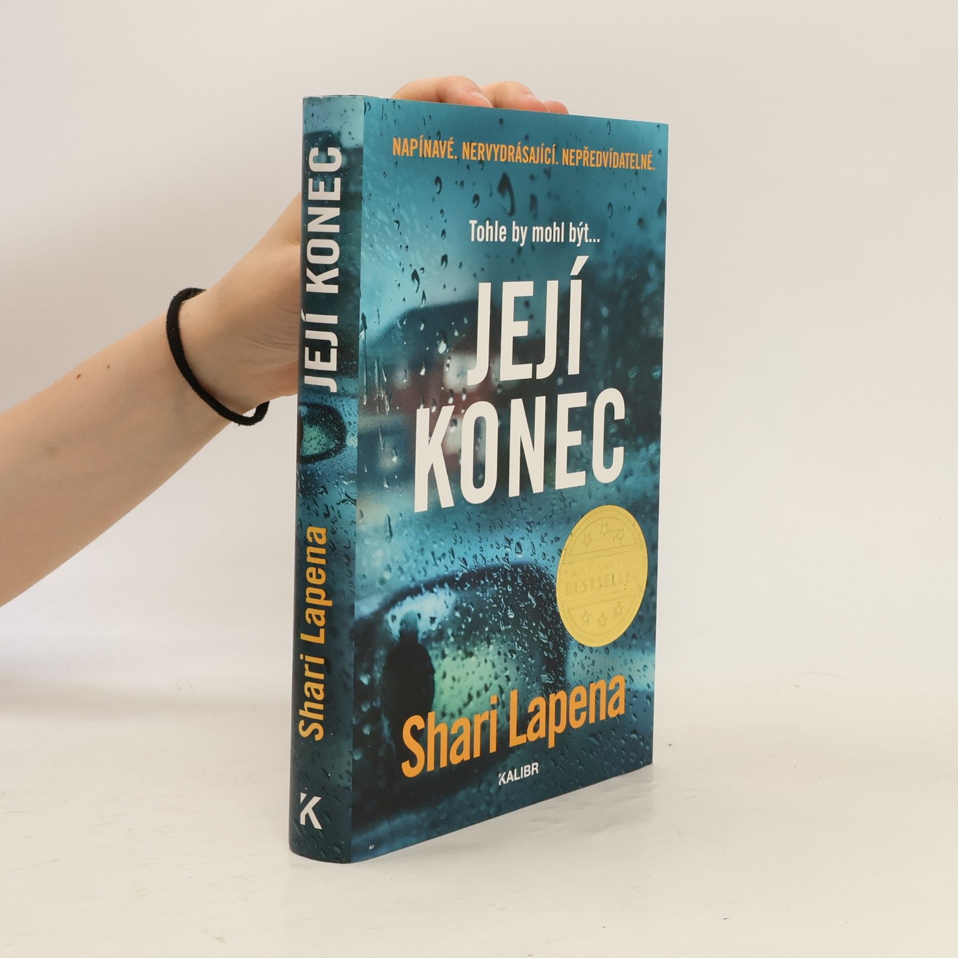 Shari Lapena Její konec