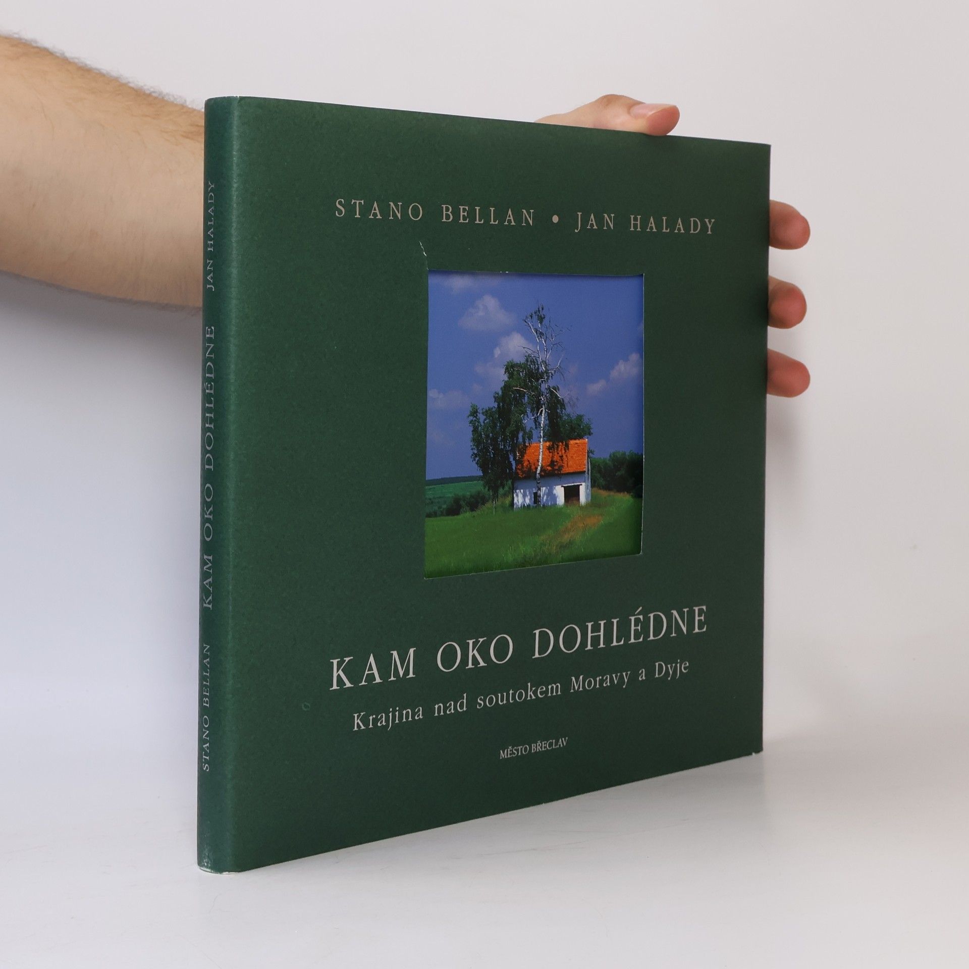 Kam oko dohlédne. Krajina nad soutokem Moravy a Dyje