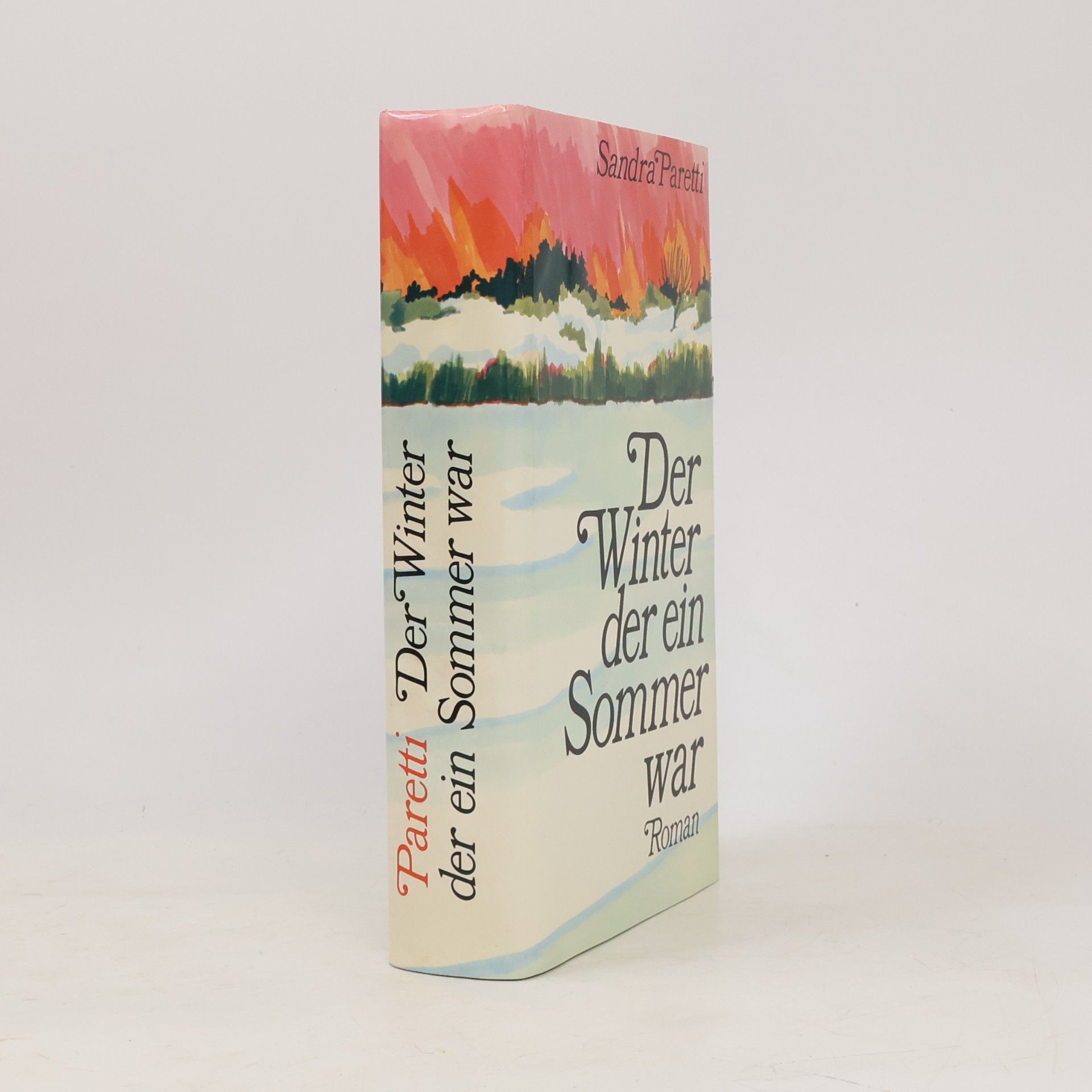Sandra Paretti Der Winter der ein Sommer war