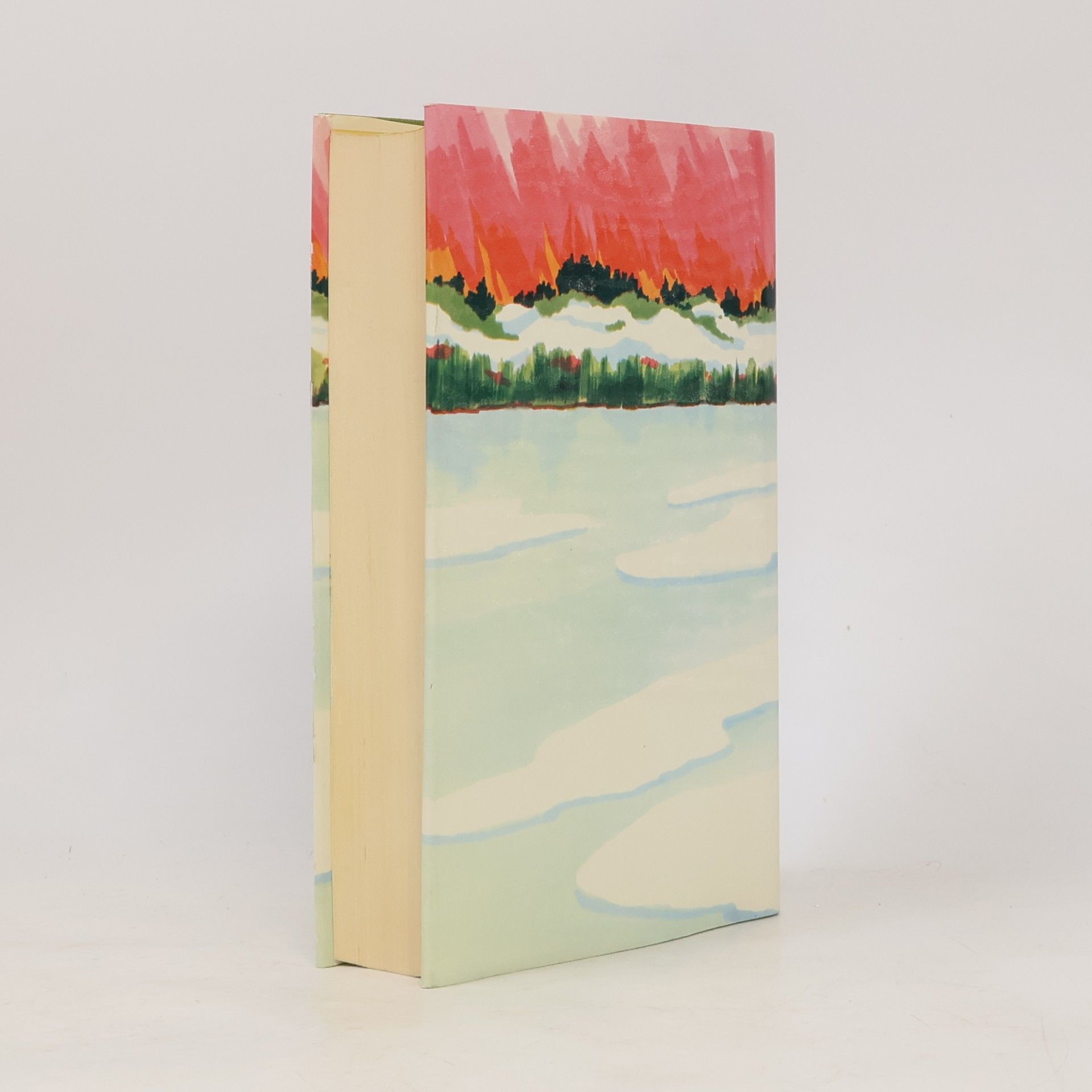 Sandra Paretti Der Winter der ein Sommer war