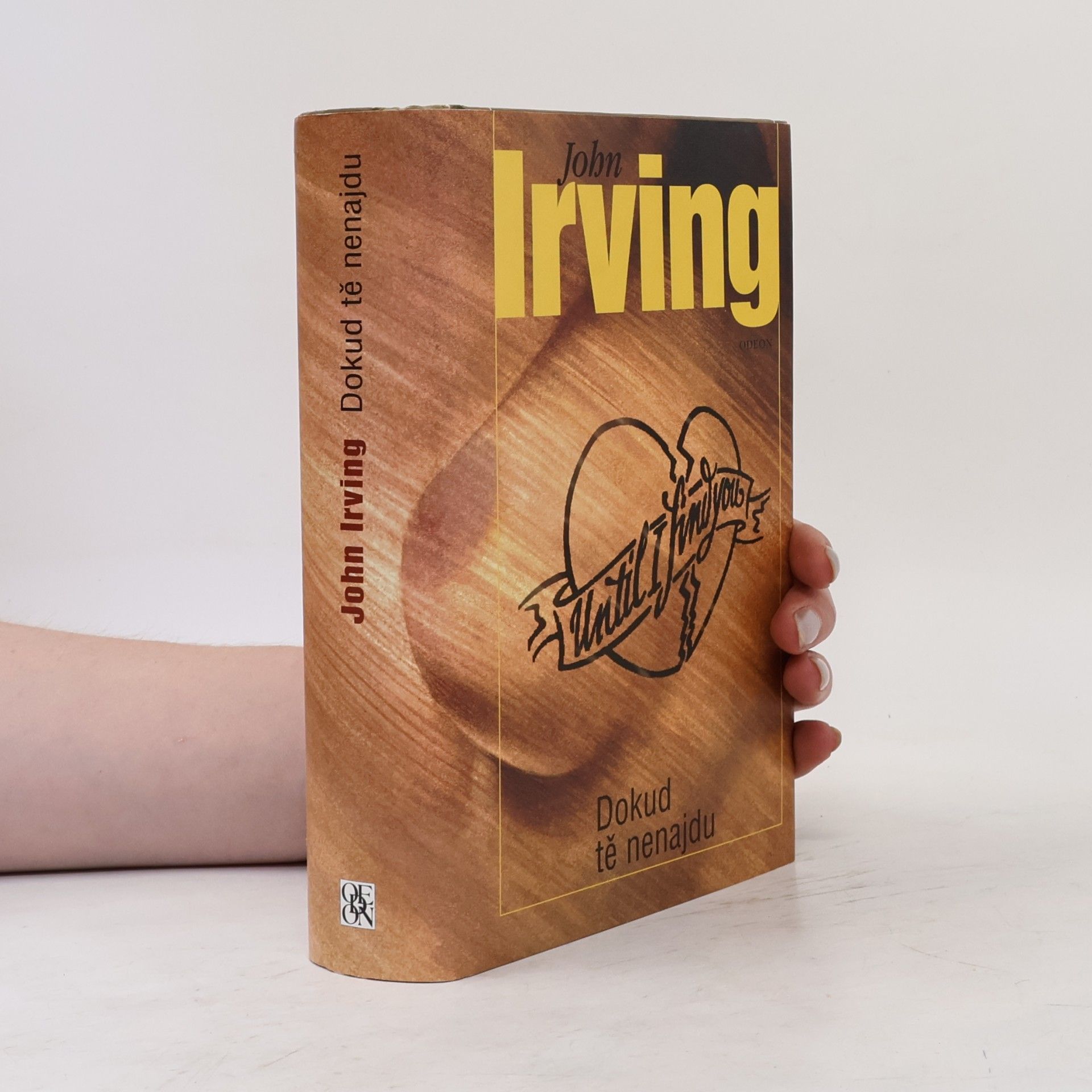 John Irving Dokud tě nenajdu